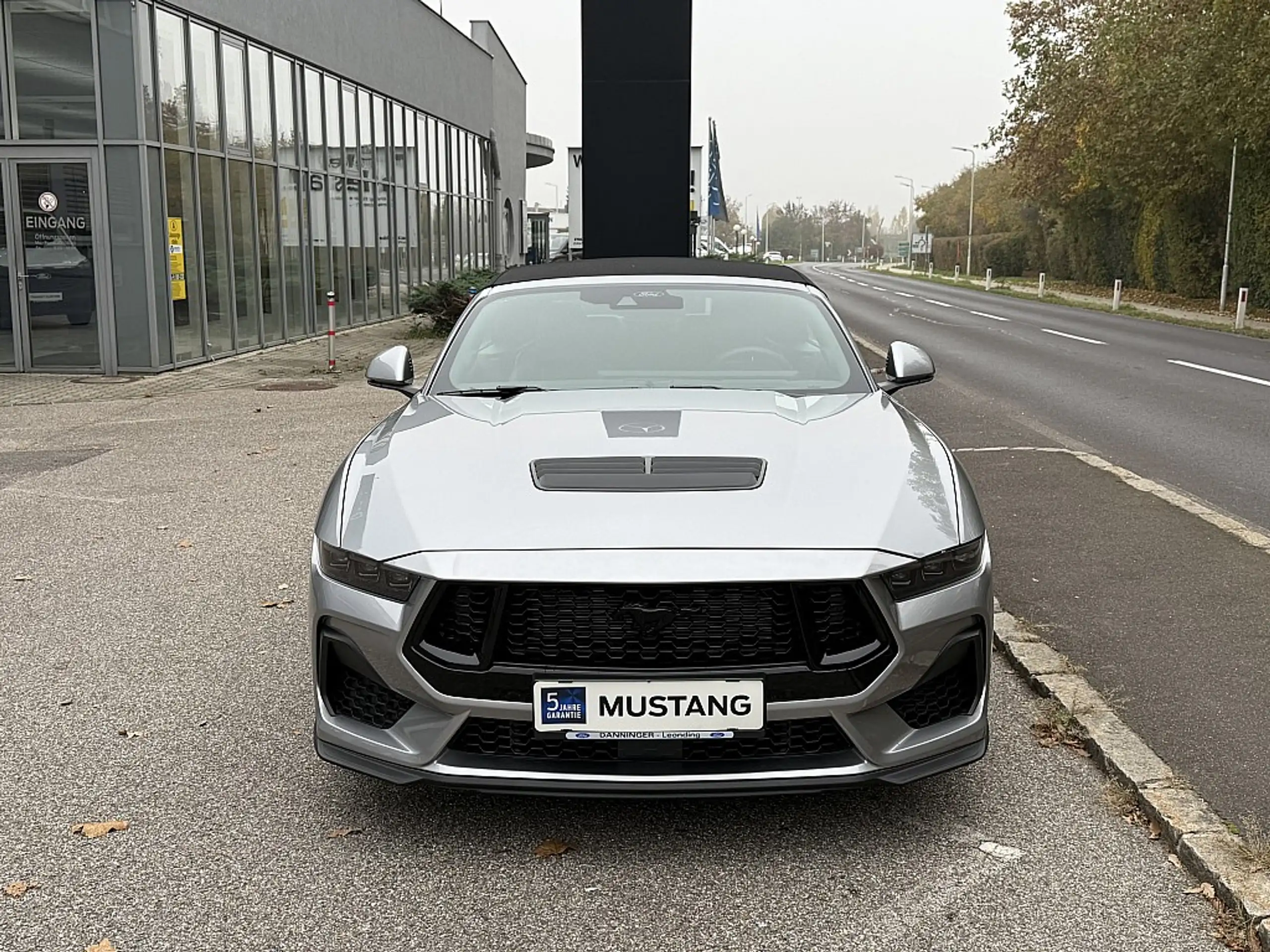 Ford - Mustang