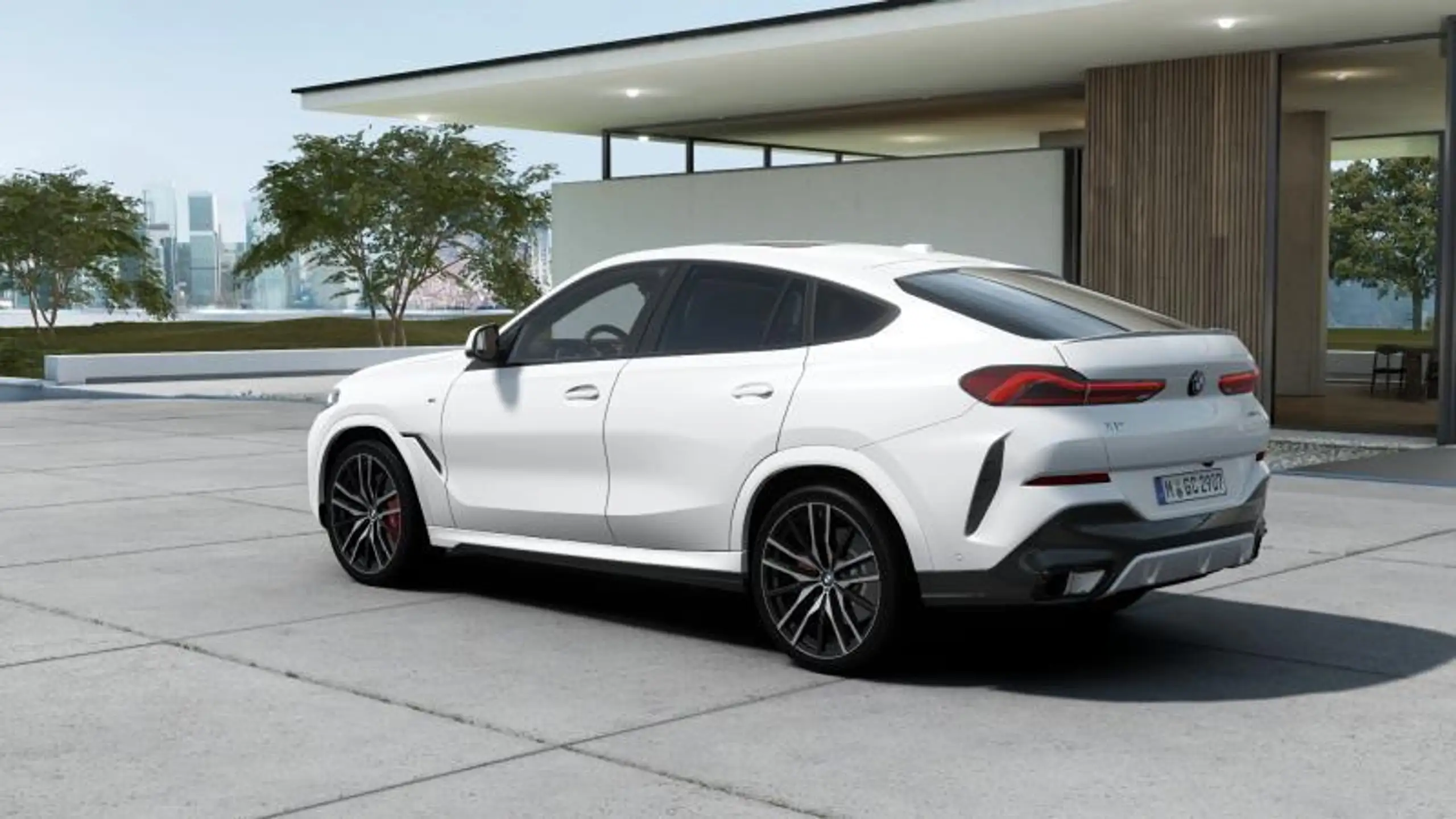 BMW - X6