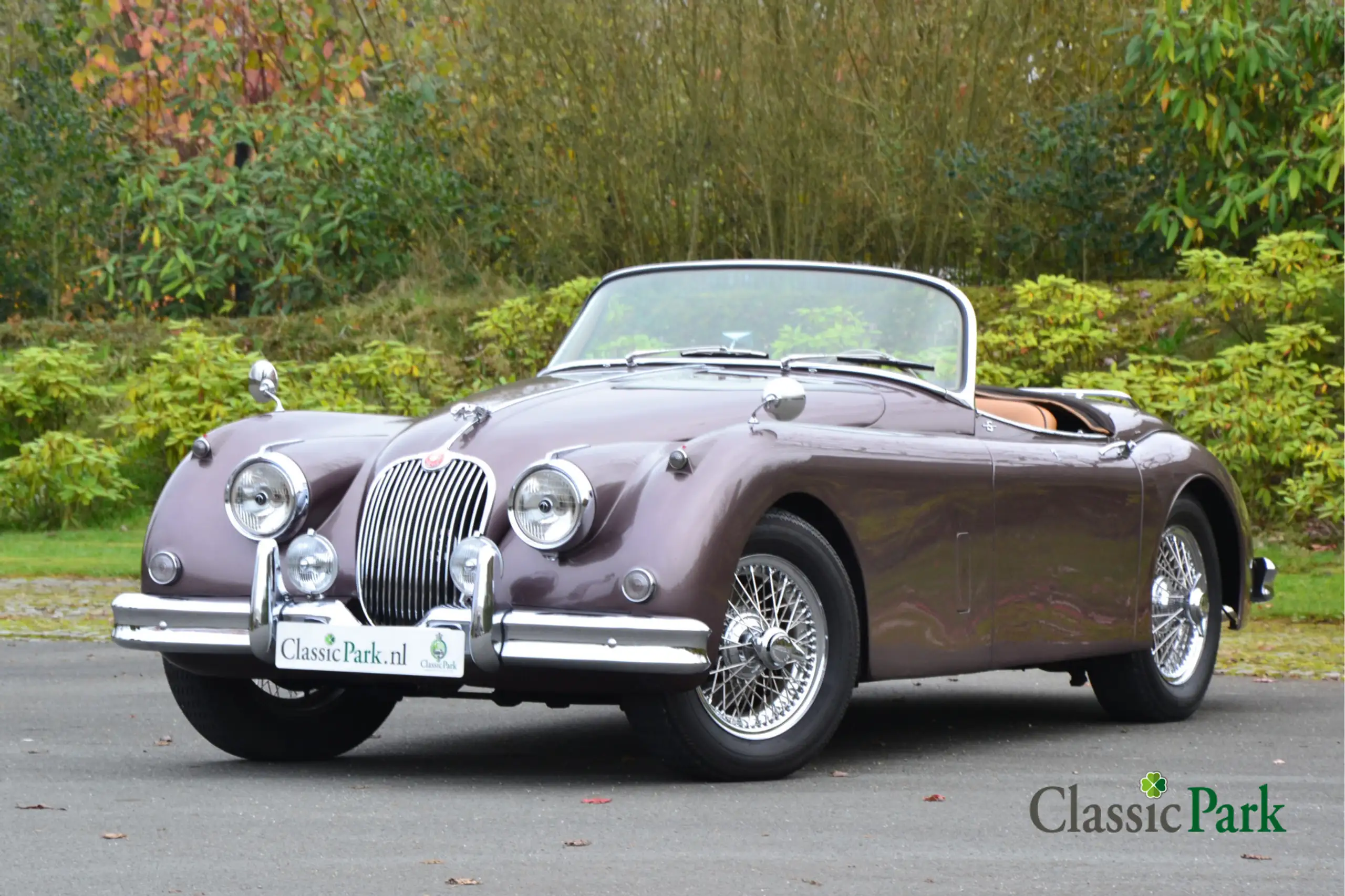 Jaguar XK 1959