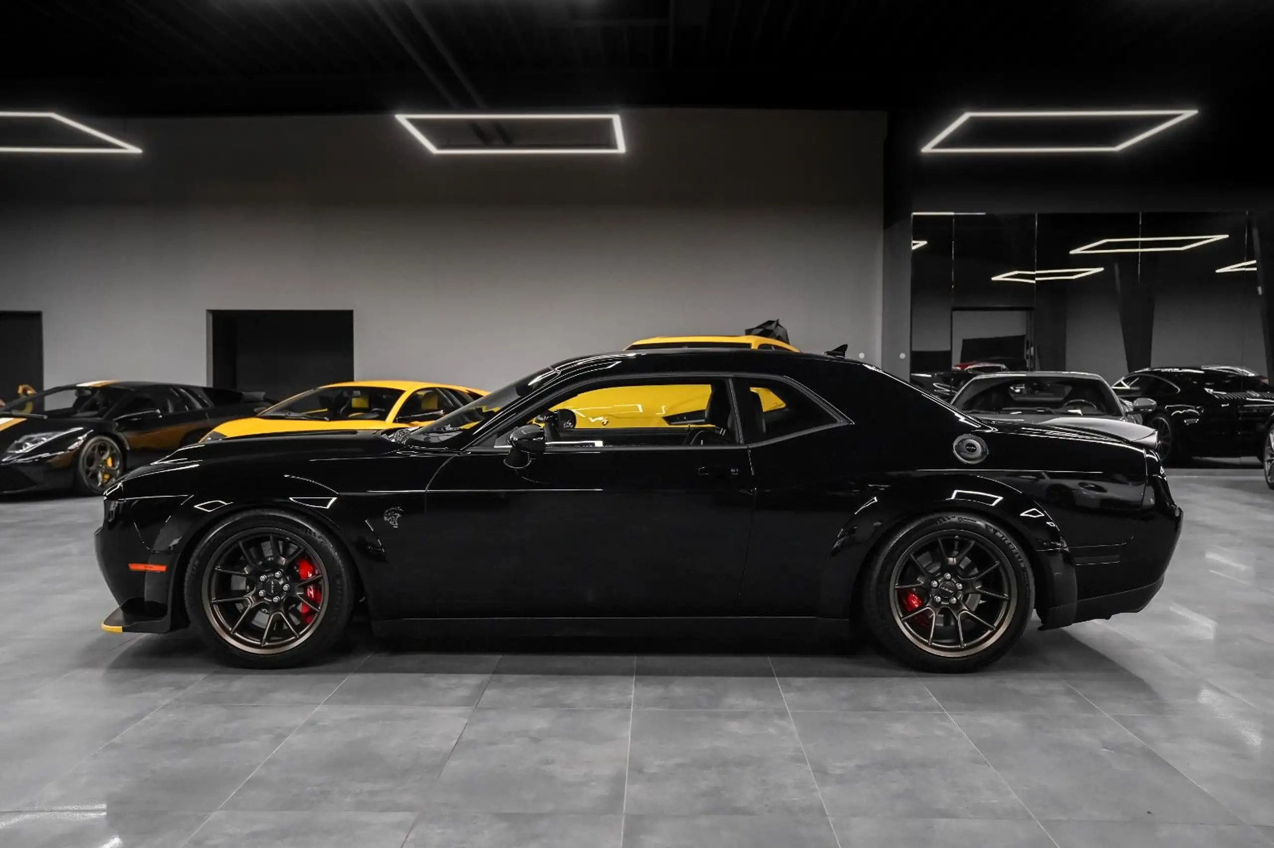 Dodge - Challenger