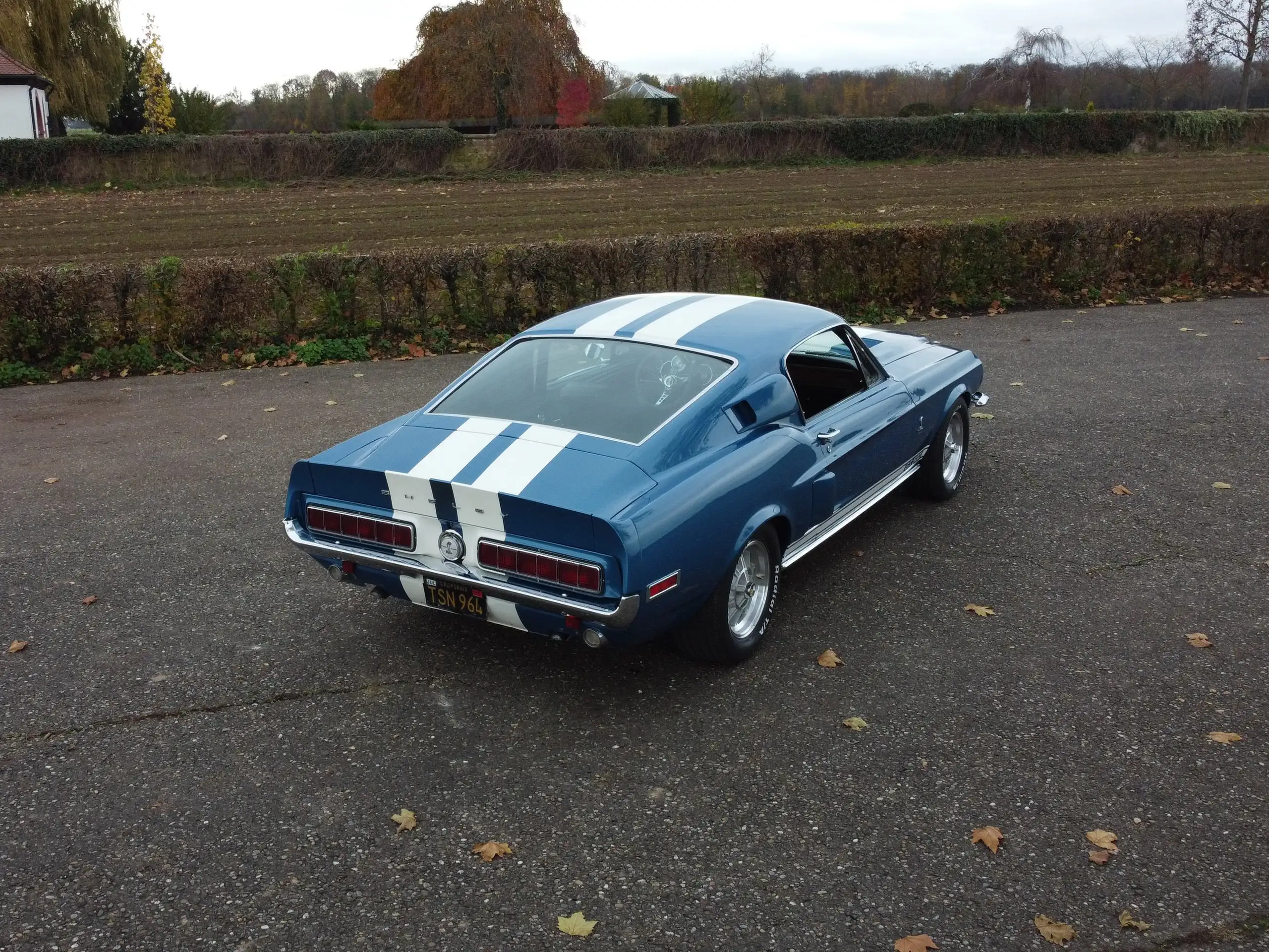 Ford - Mustang