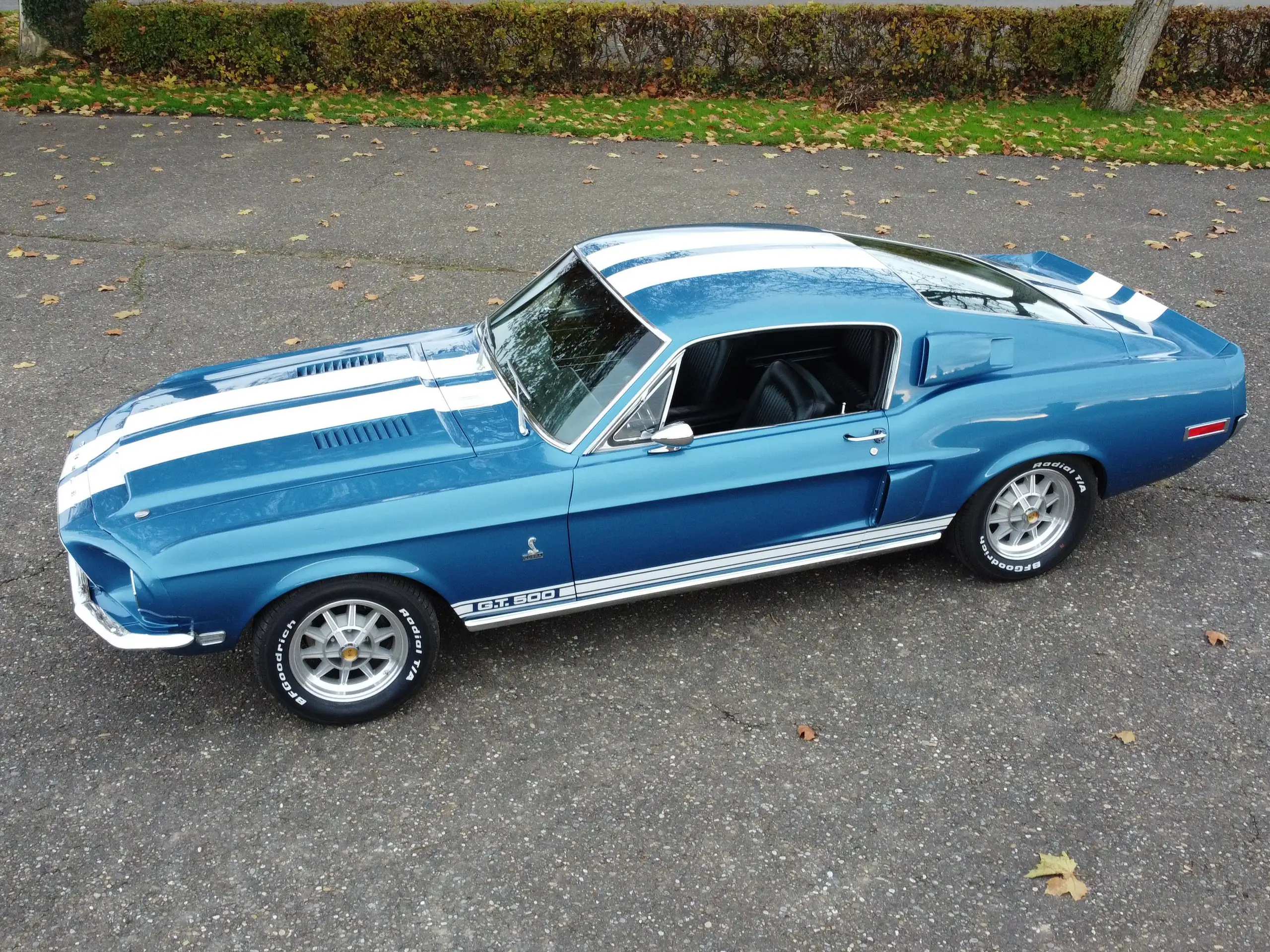 Ford - Mustang