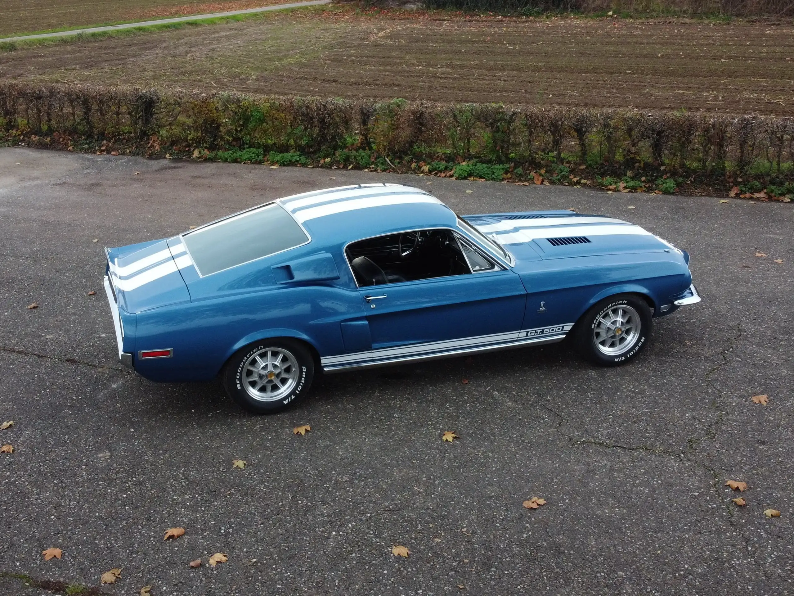 Ford - Mustang