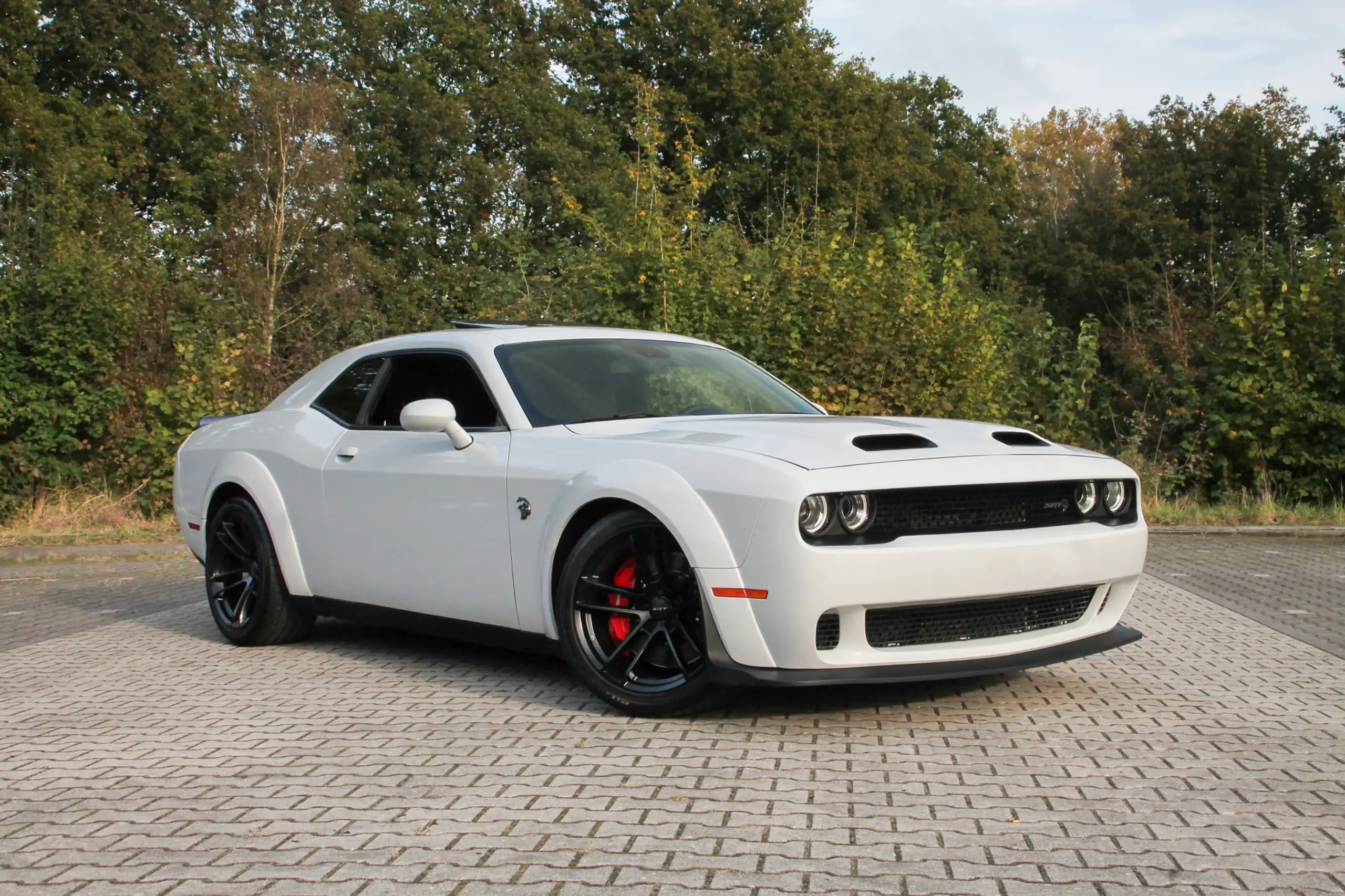 Dodge - Challenger