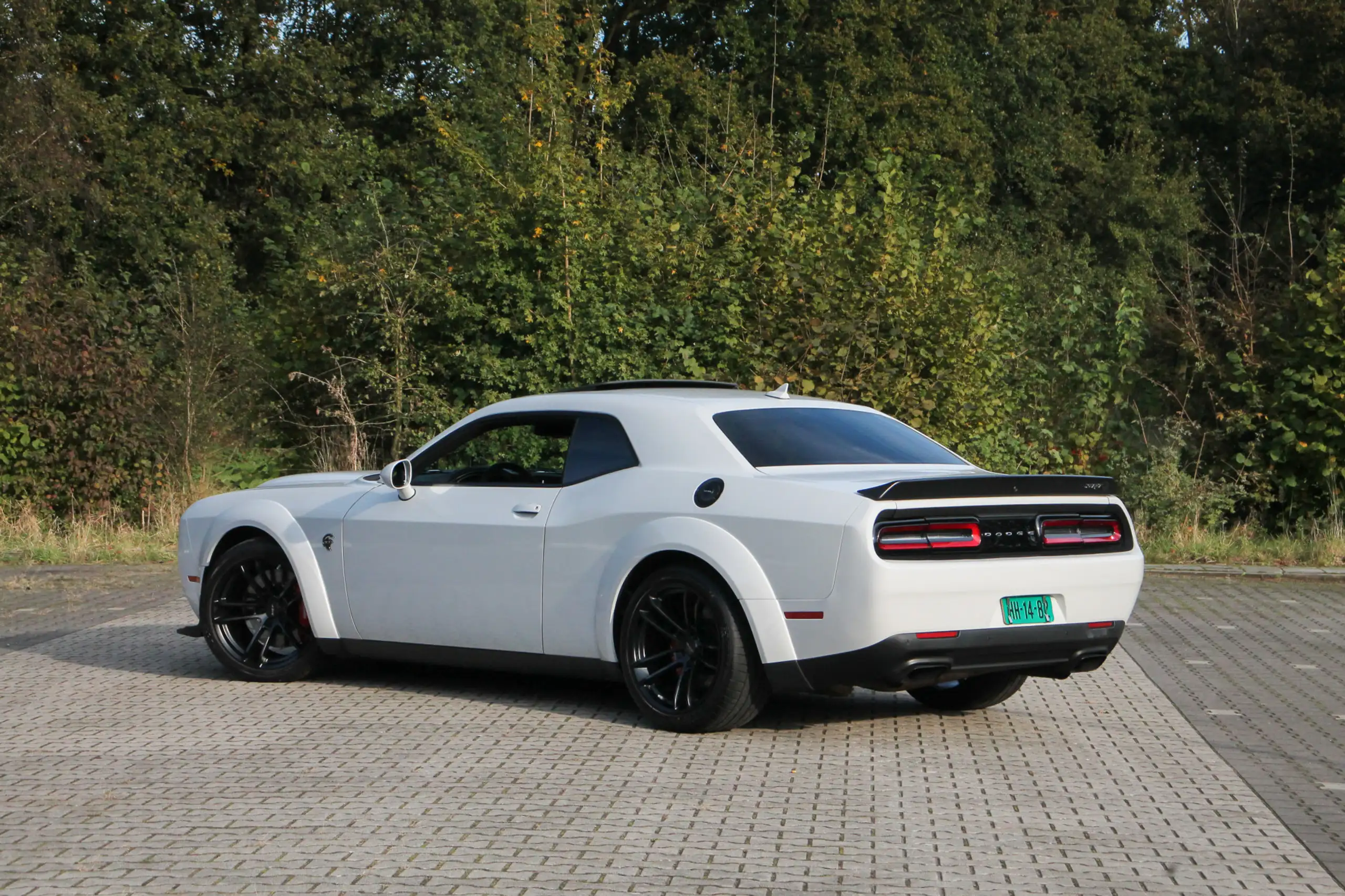 Dodge - Challenger