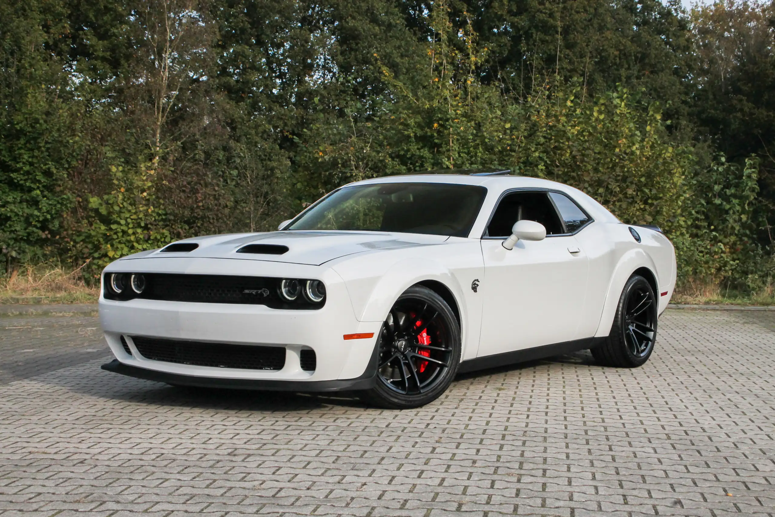 Dodge - Challenger