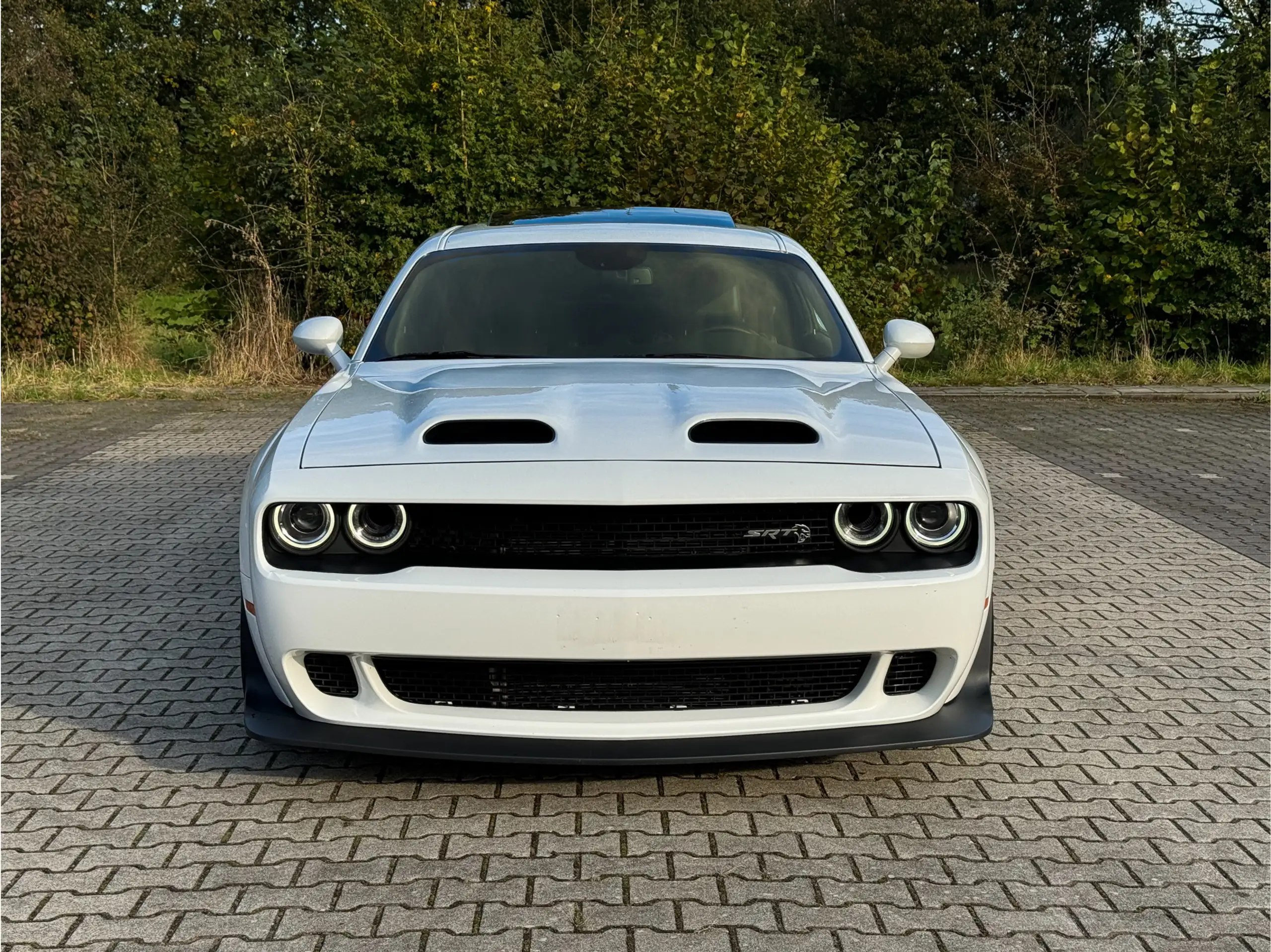 Dodge - Challenger