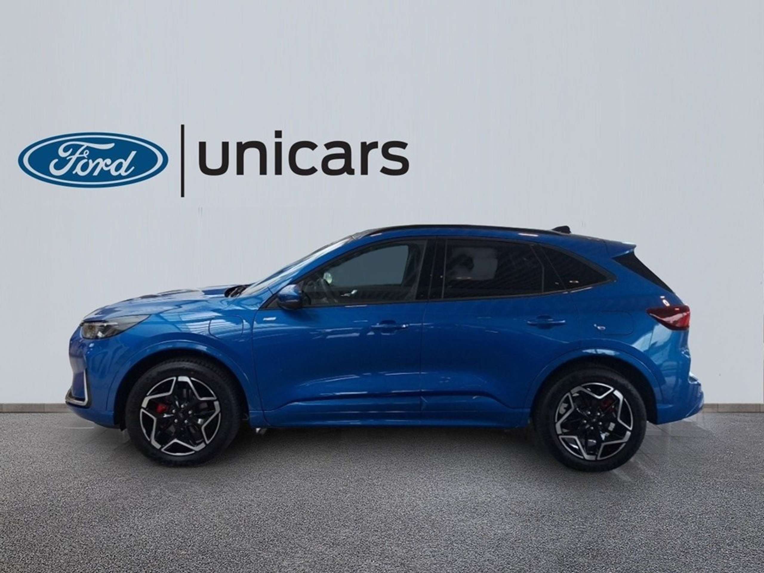 Ford - Kuga