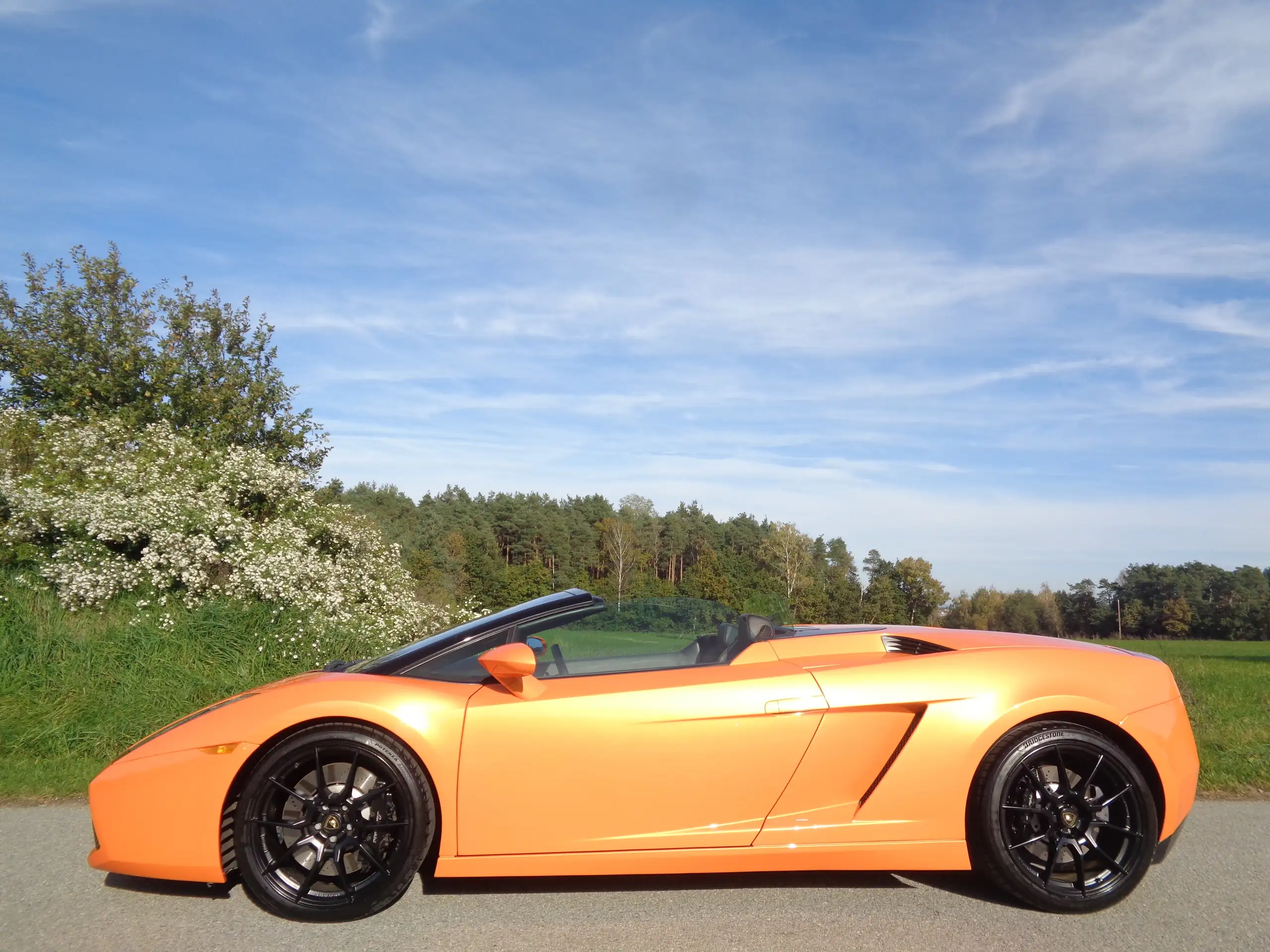 Lamborghini - Gallardo