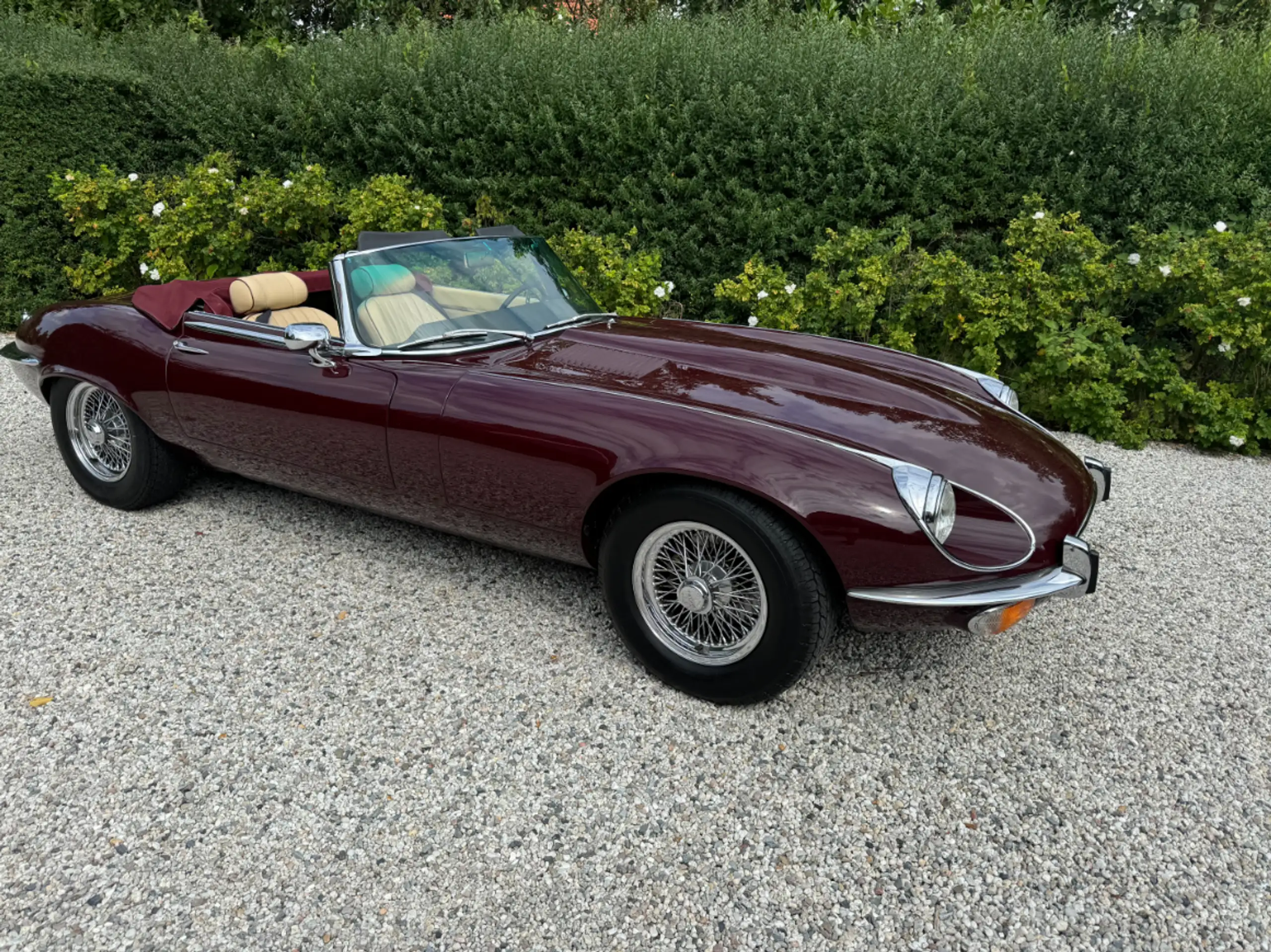 Jaguar - E-Type