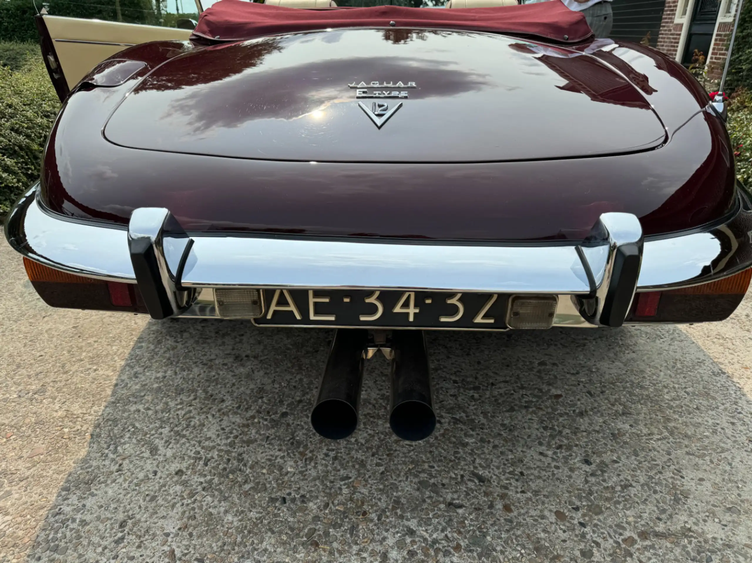 Jaguar - E-Type