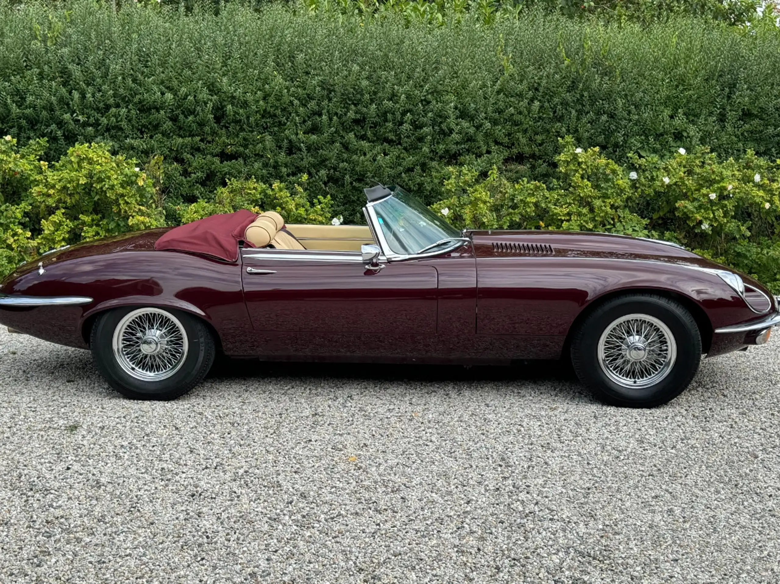 Jaguar - E-Type