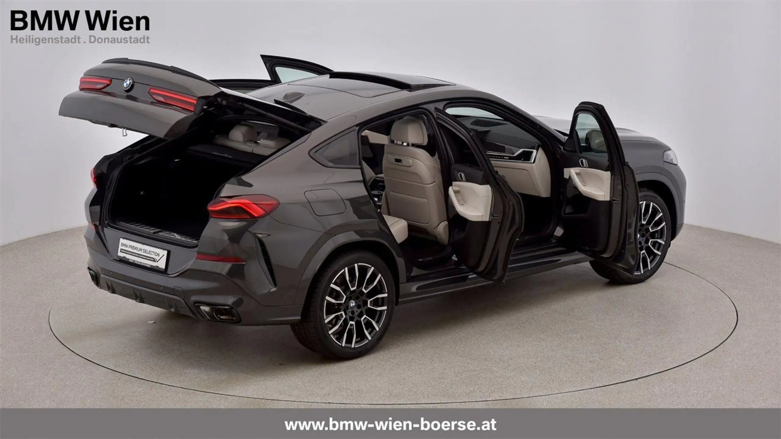 BMW - X6