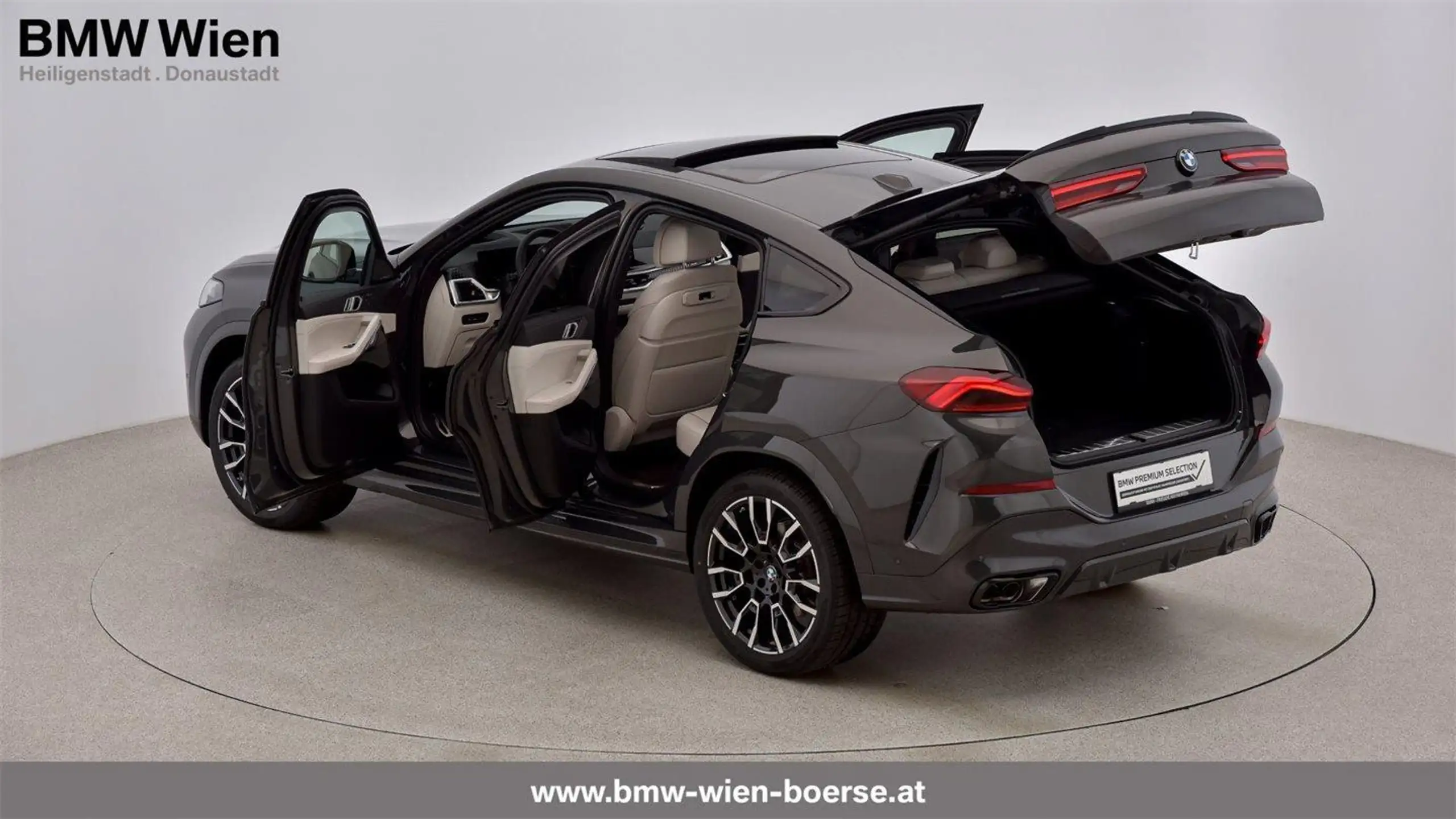 BMW - X6