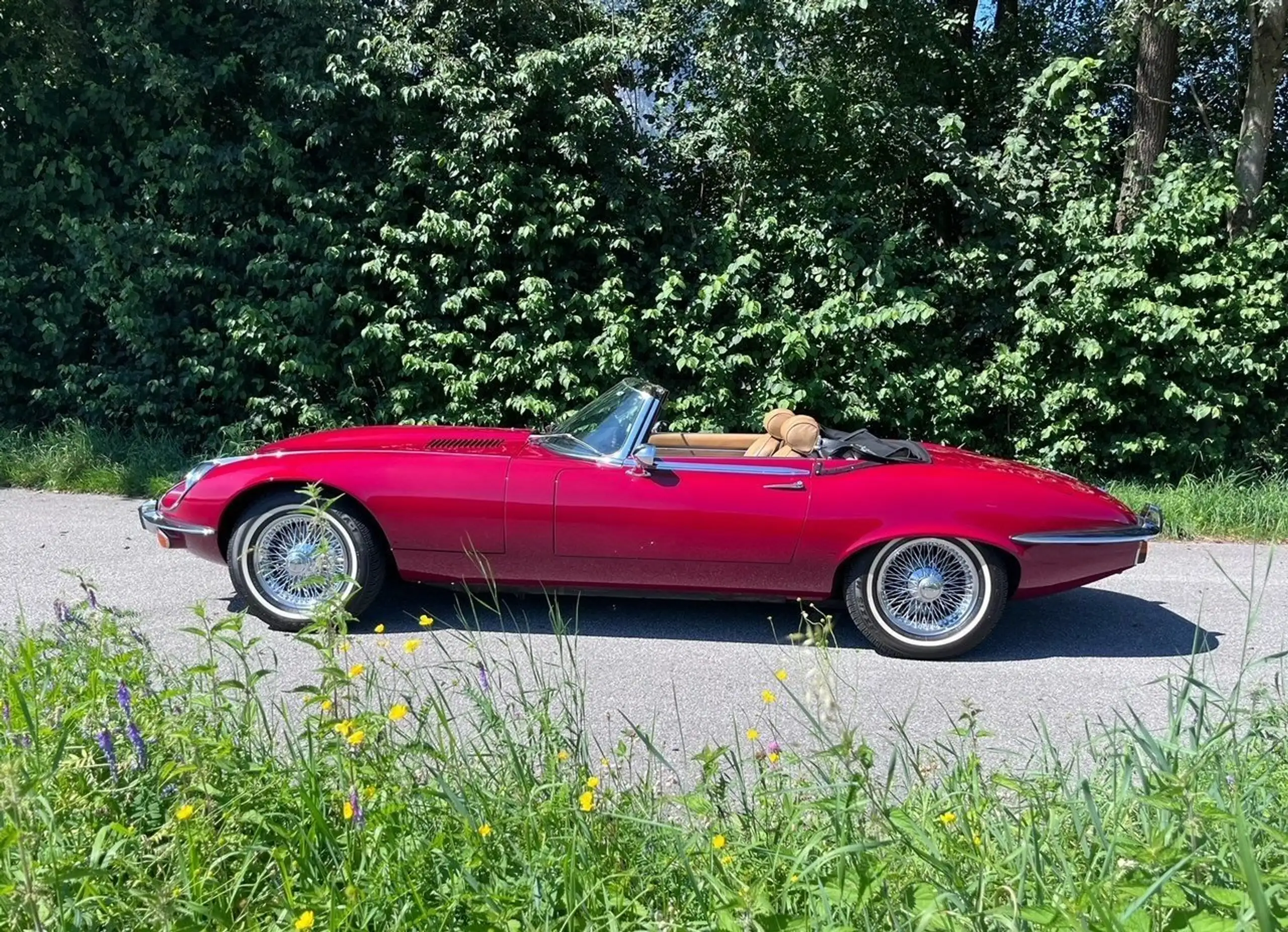 Jaguar - E-Type