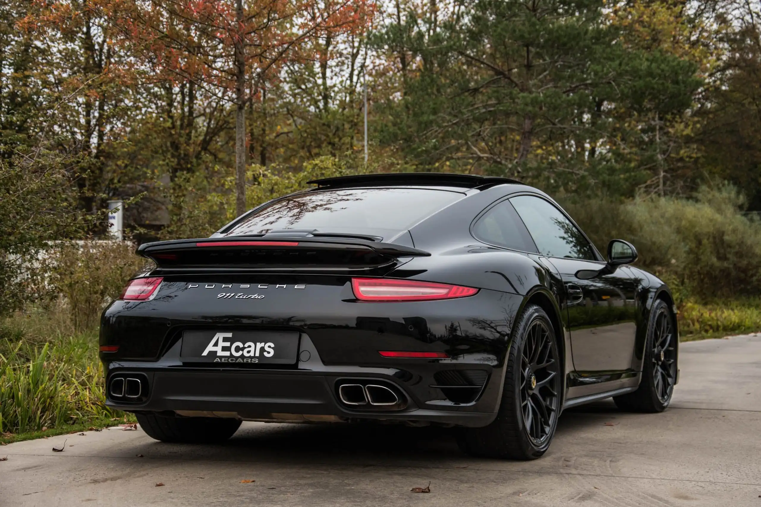 Porsche - 991