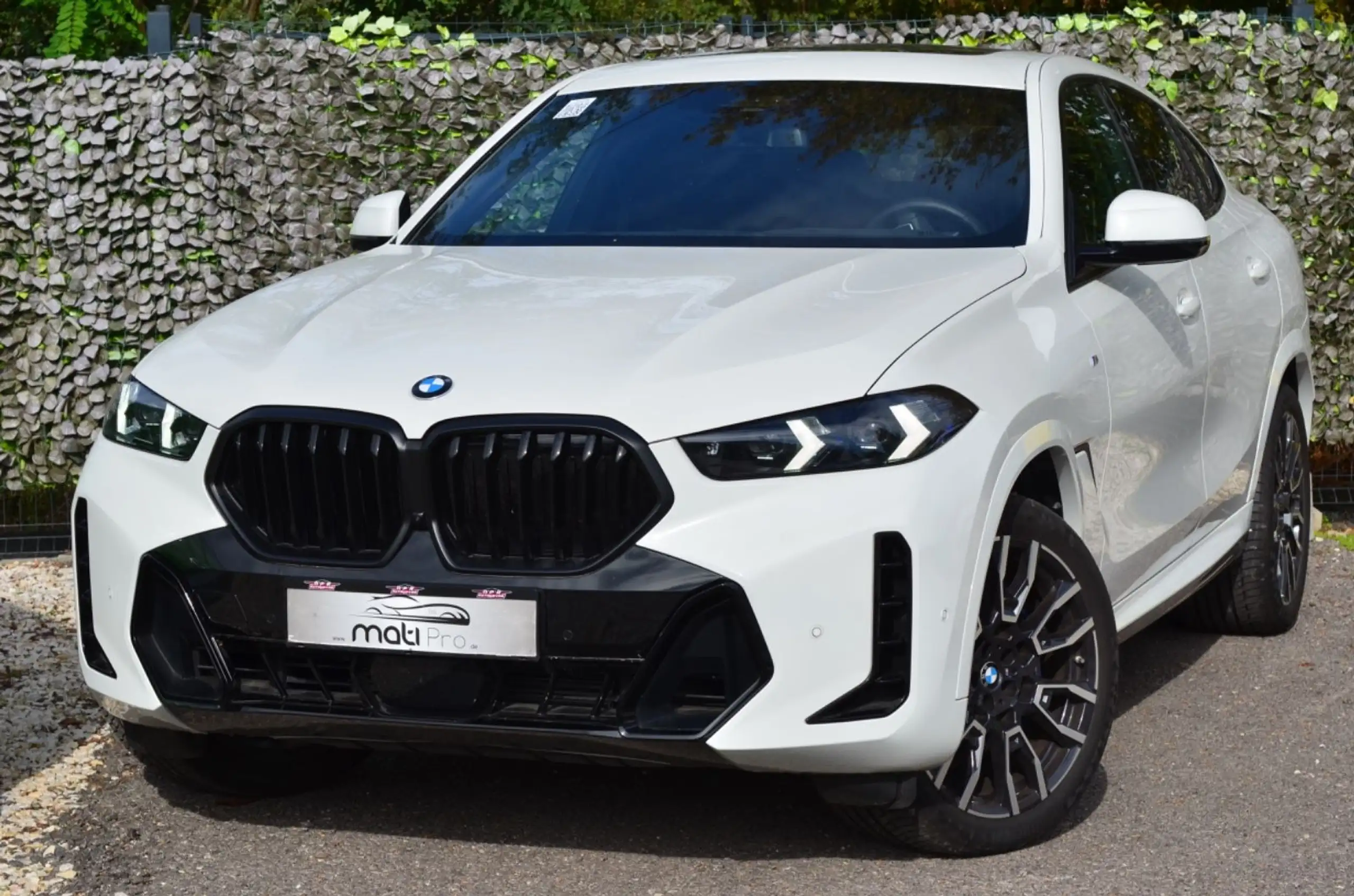 BMW - X6