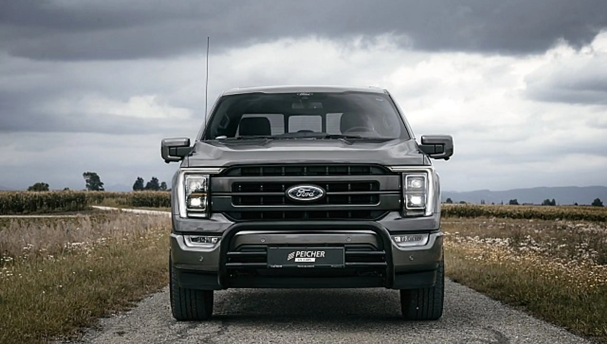 Ford - F 150