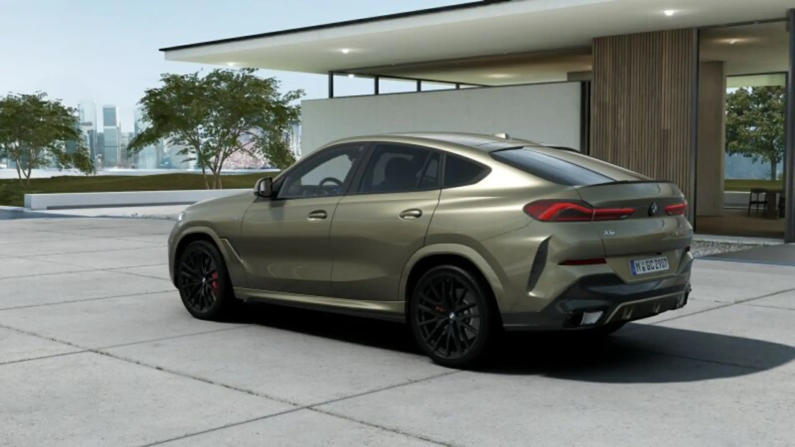 BMW - X6