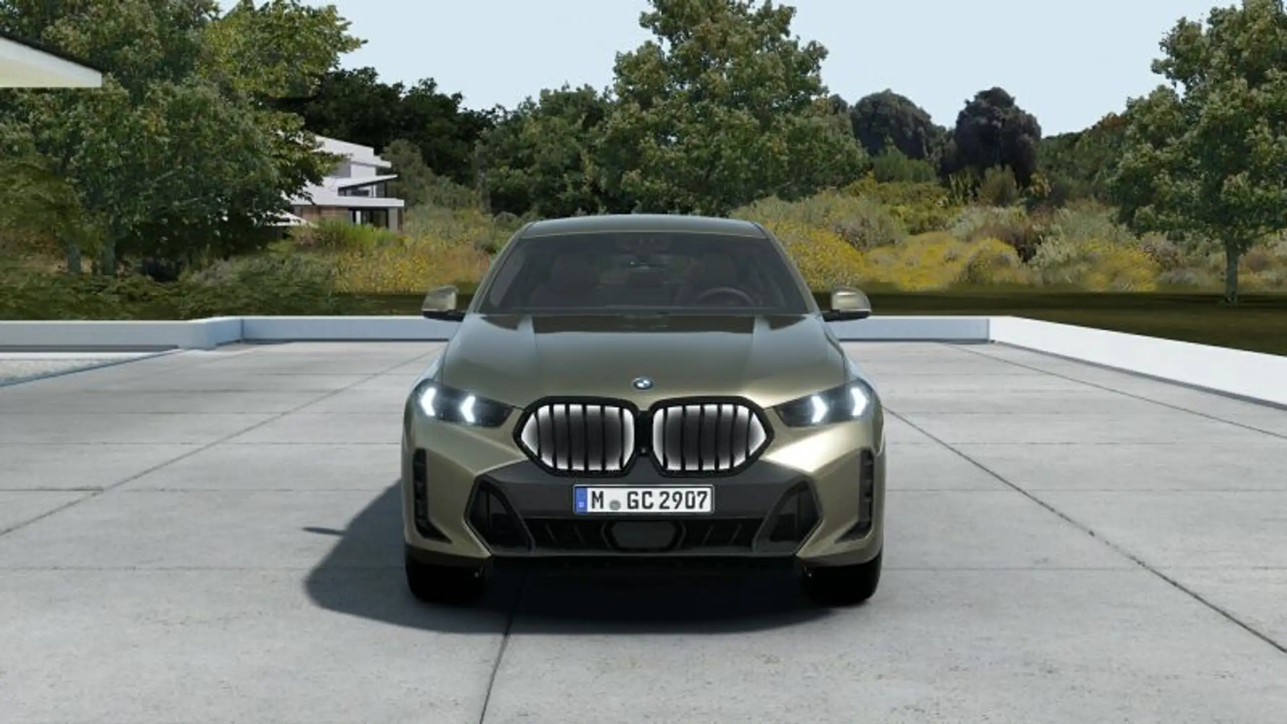 BMW - X6