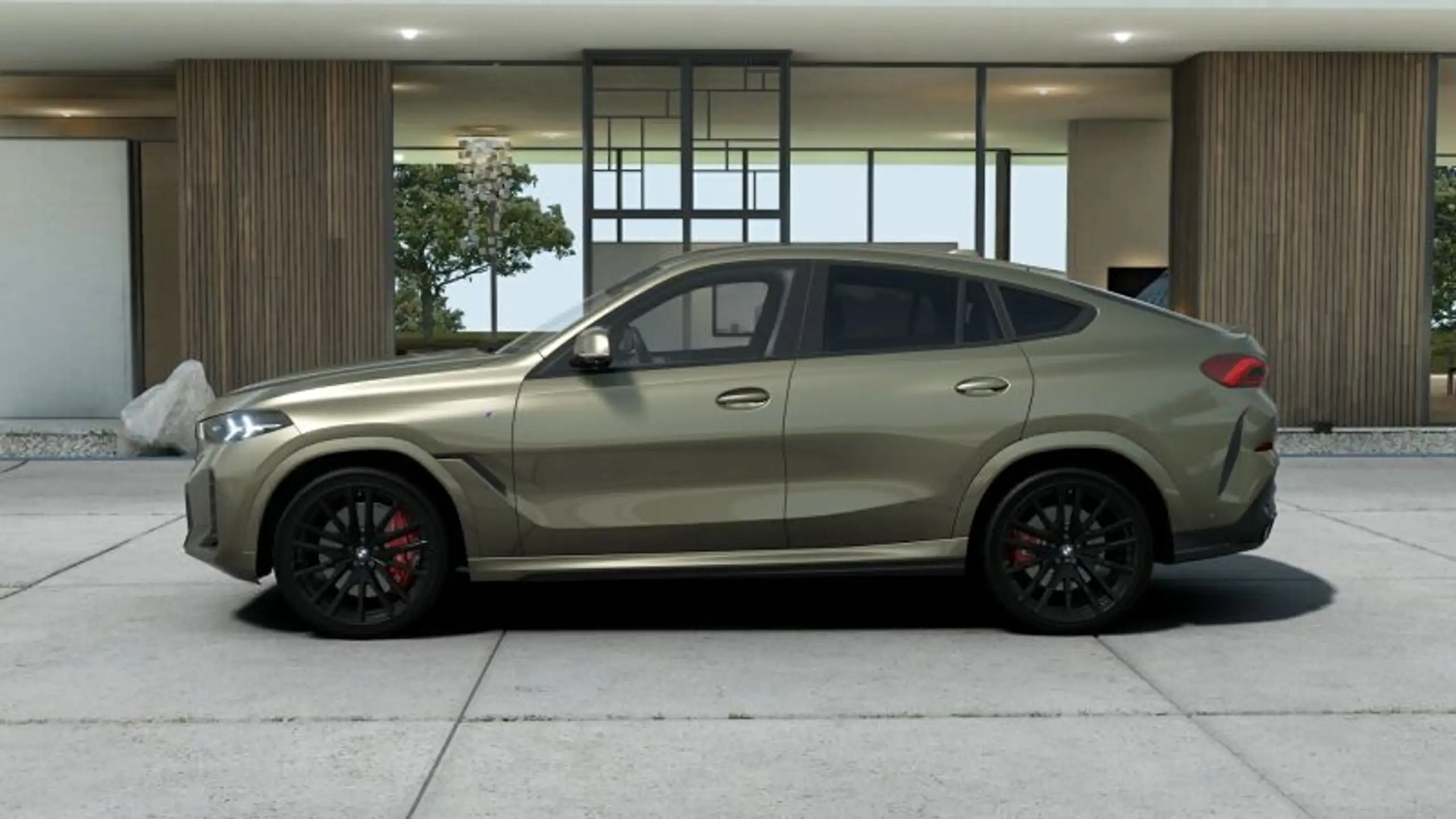 BMW - X6