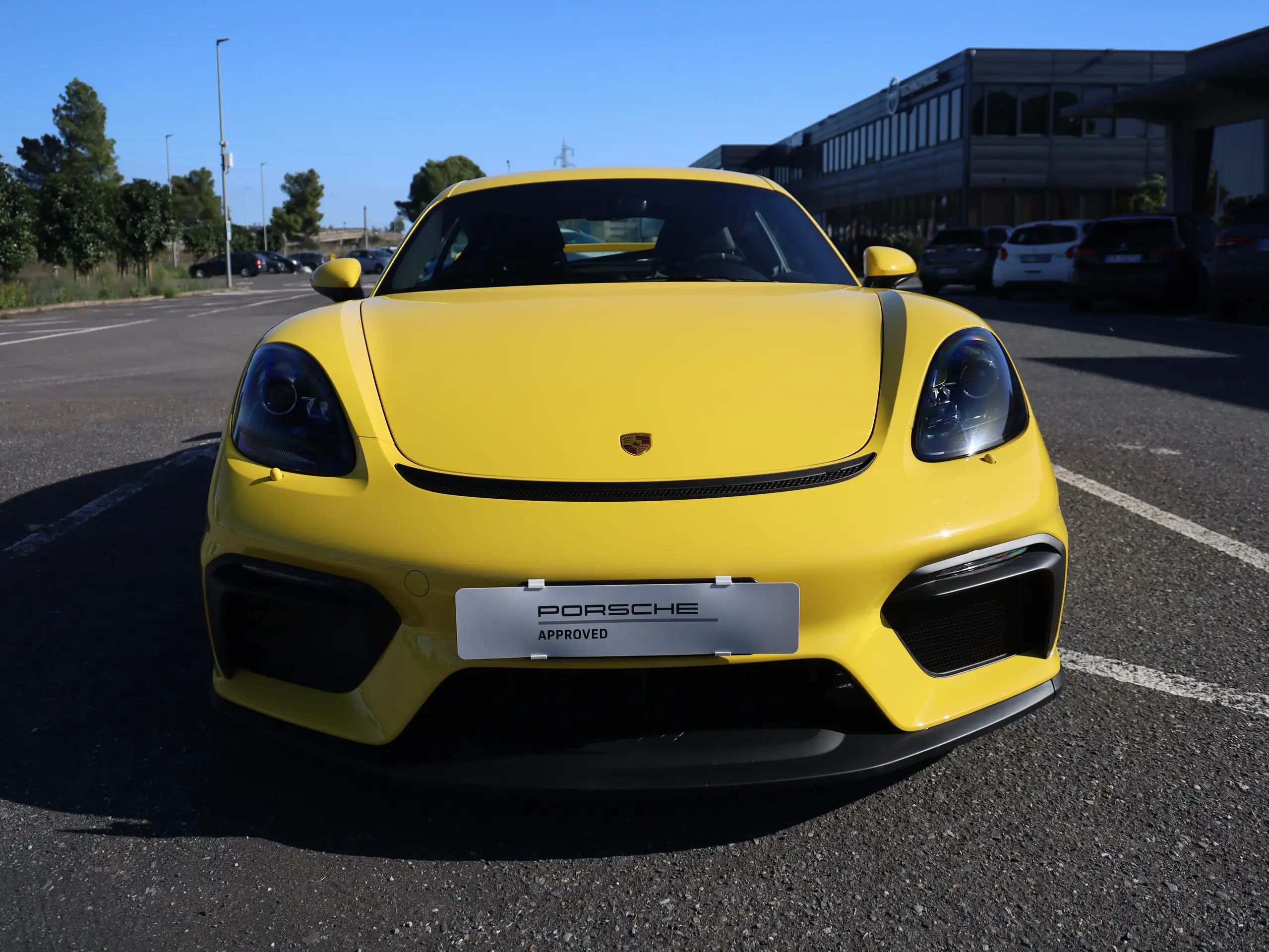 Porsche - Cayman