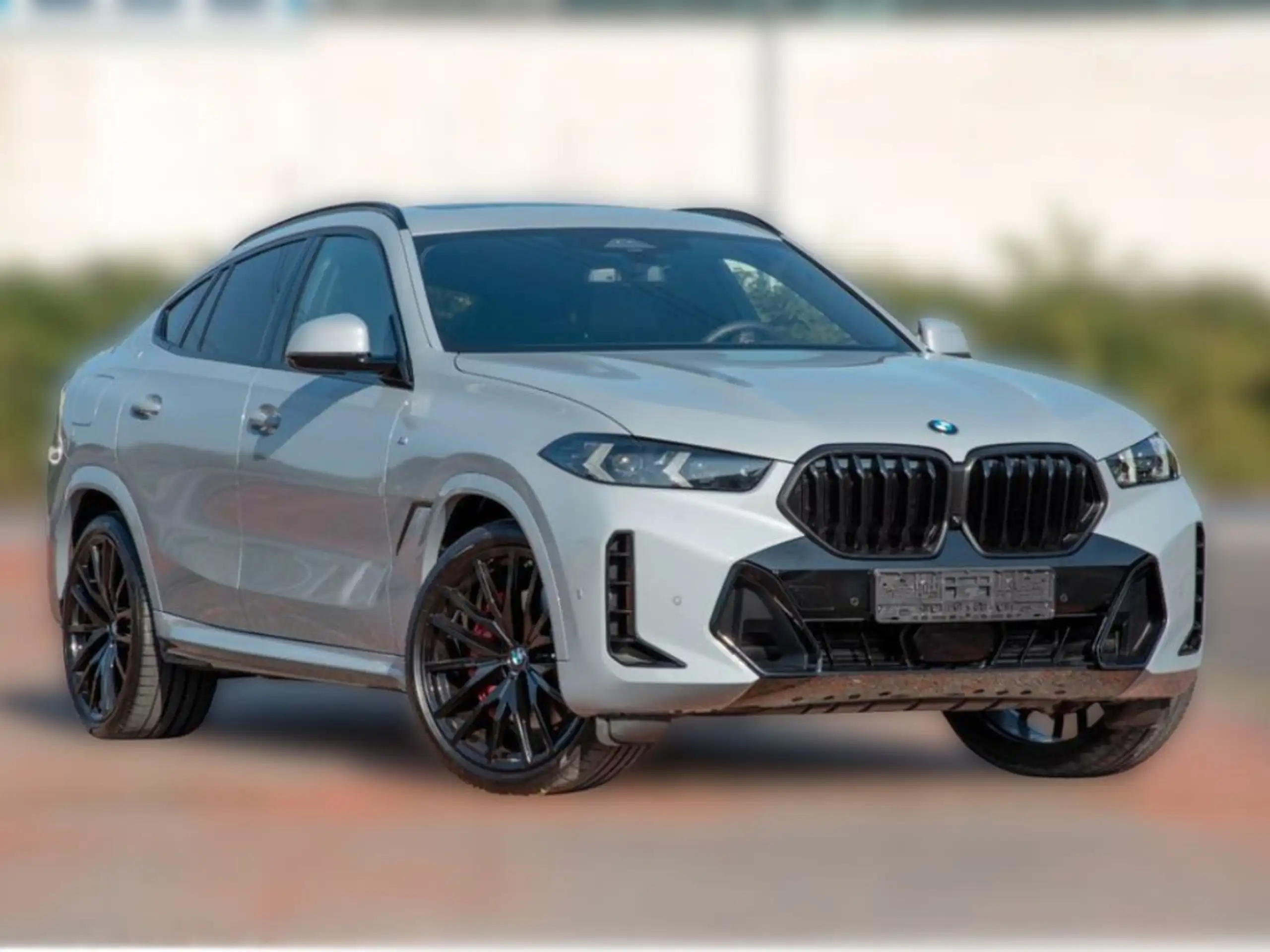 BMW - X6