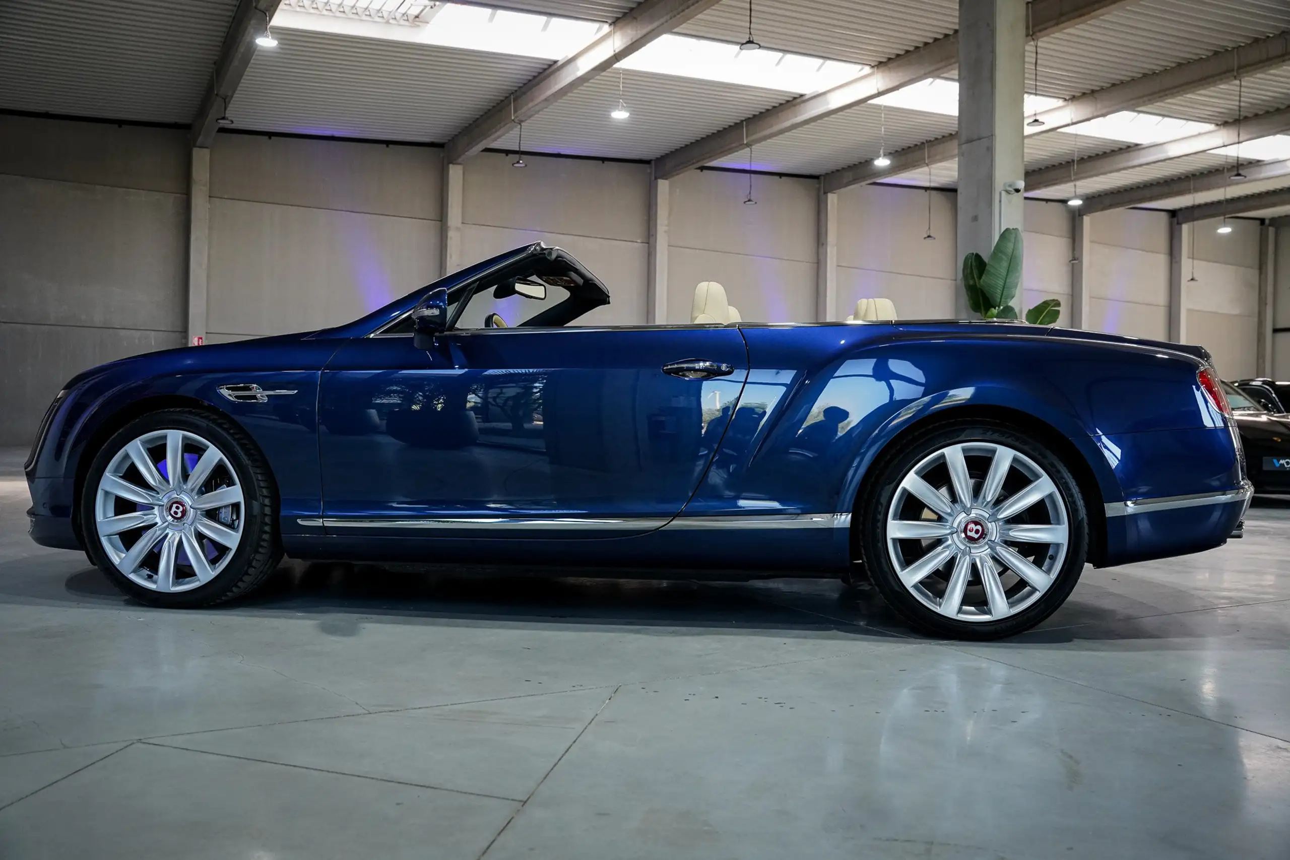 Bentley - Continental GTC