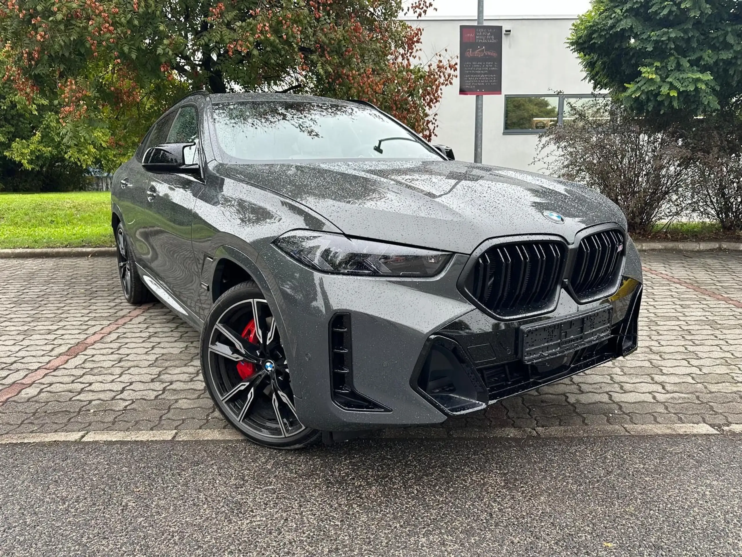 BMW - X6