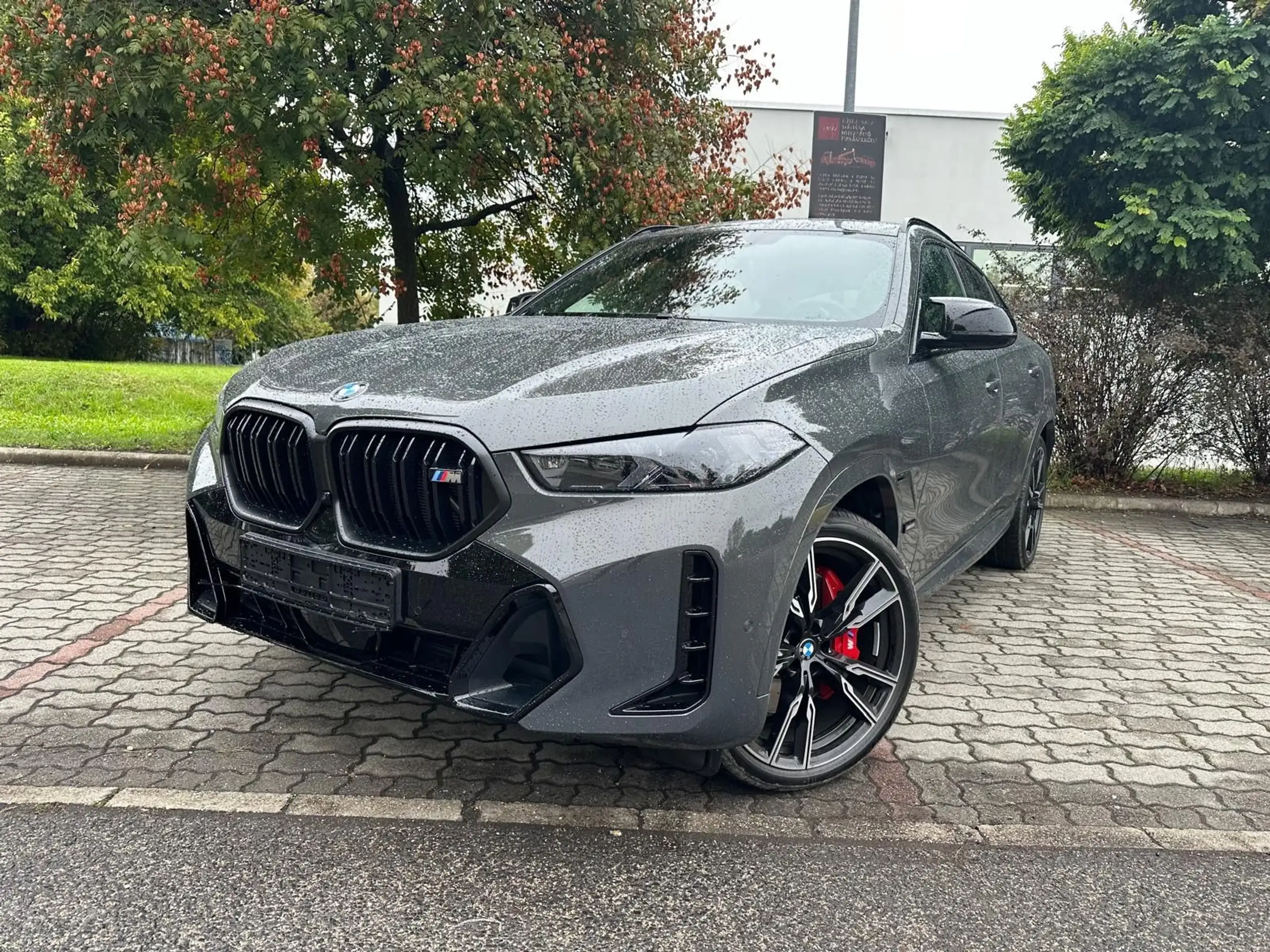 BMW - X6