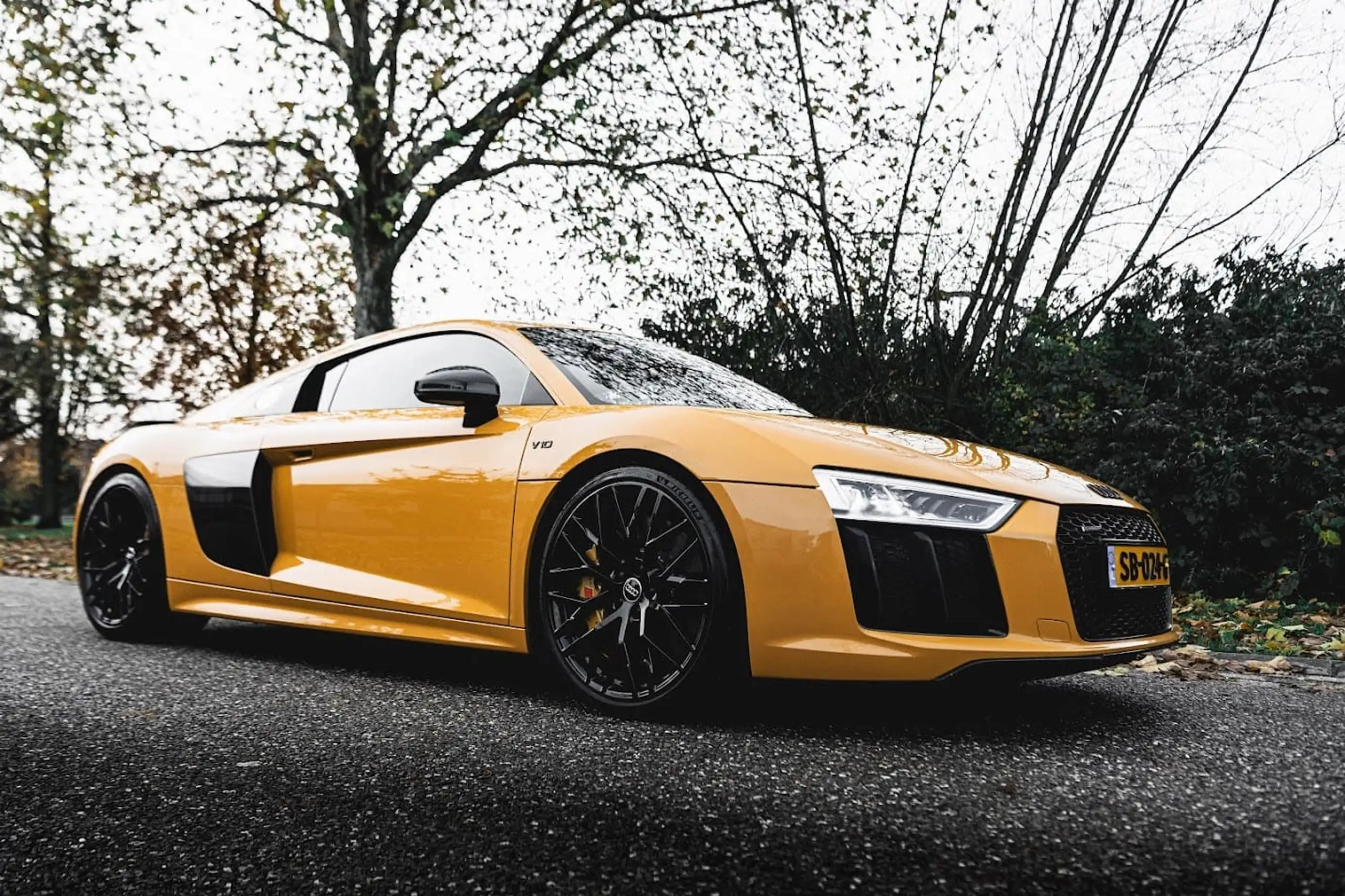 Audi - R8