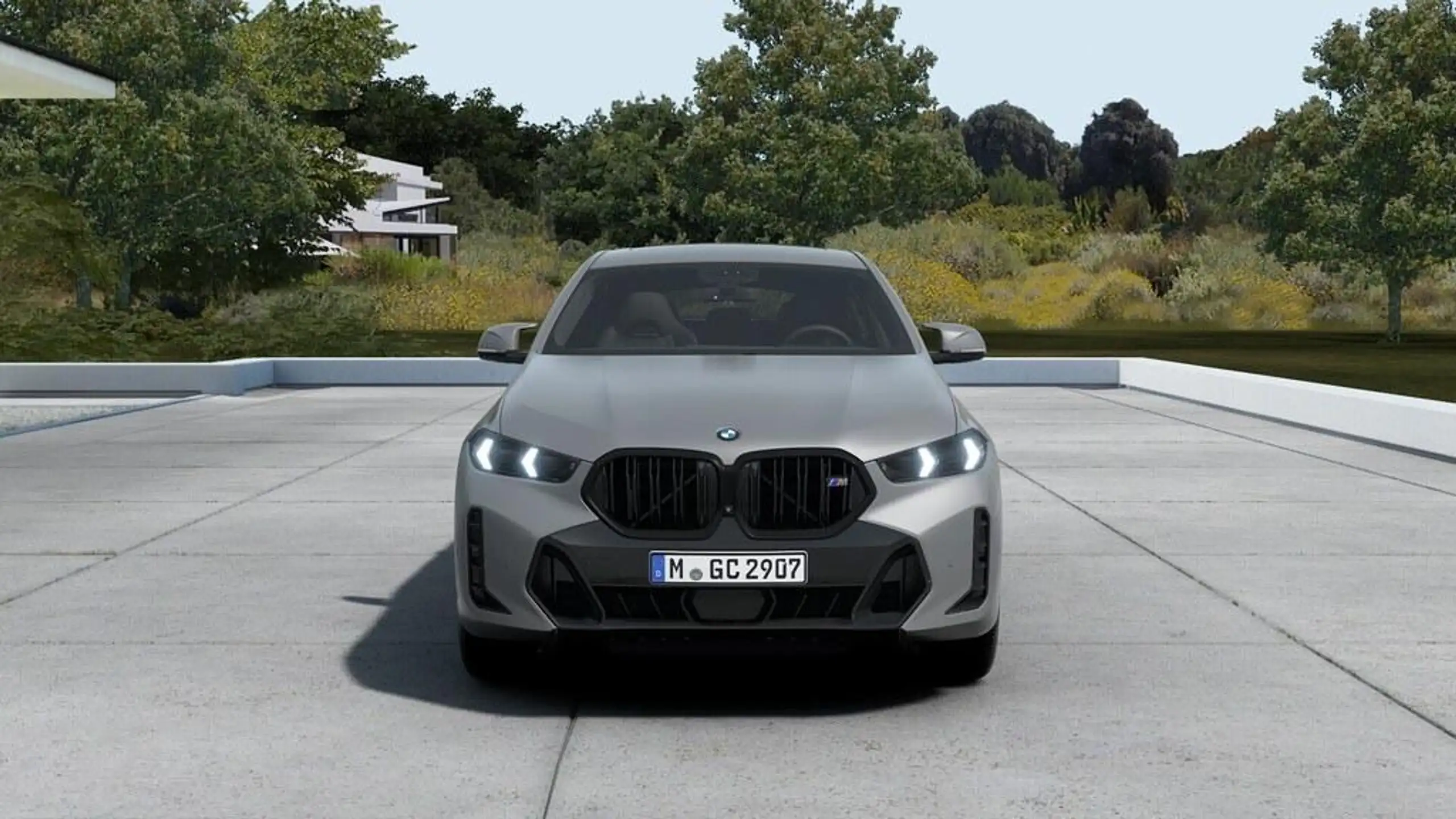 BMW - X6