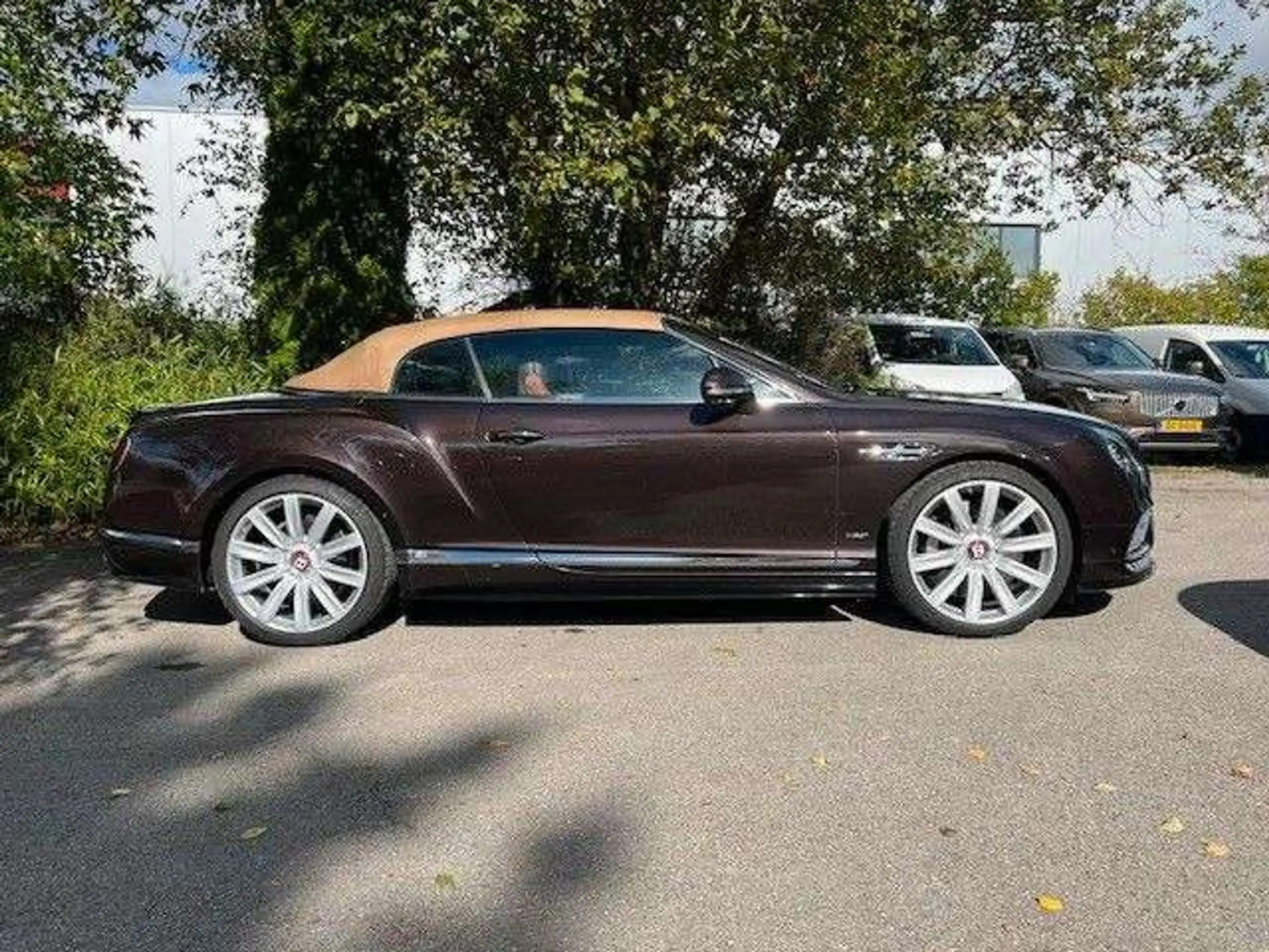 Bentley - Continental GTC