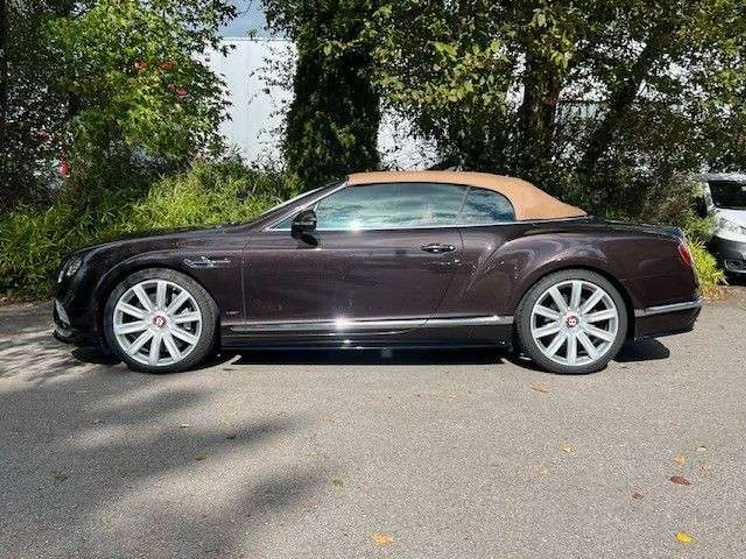 Bentley - Continental GTC