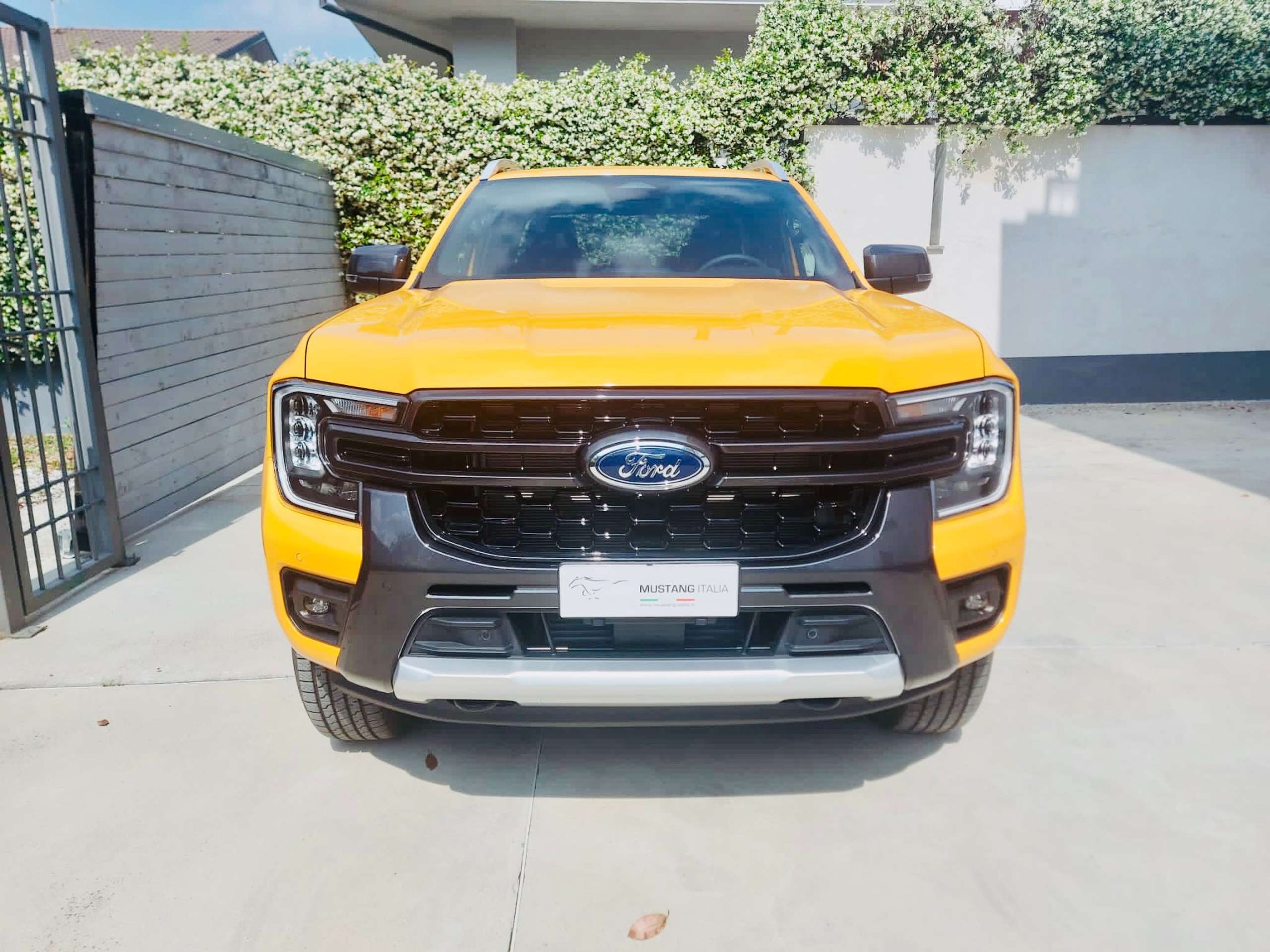 Ford - Ranger