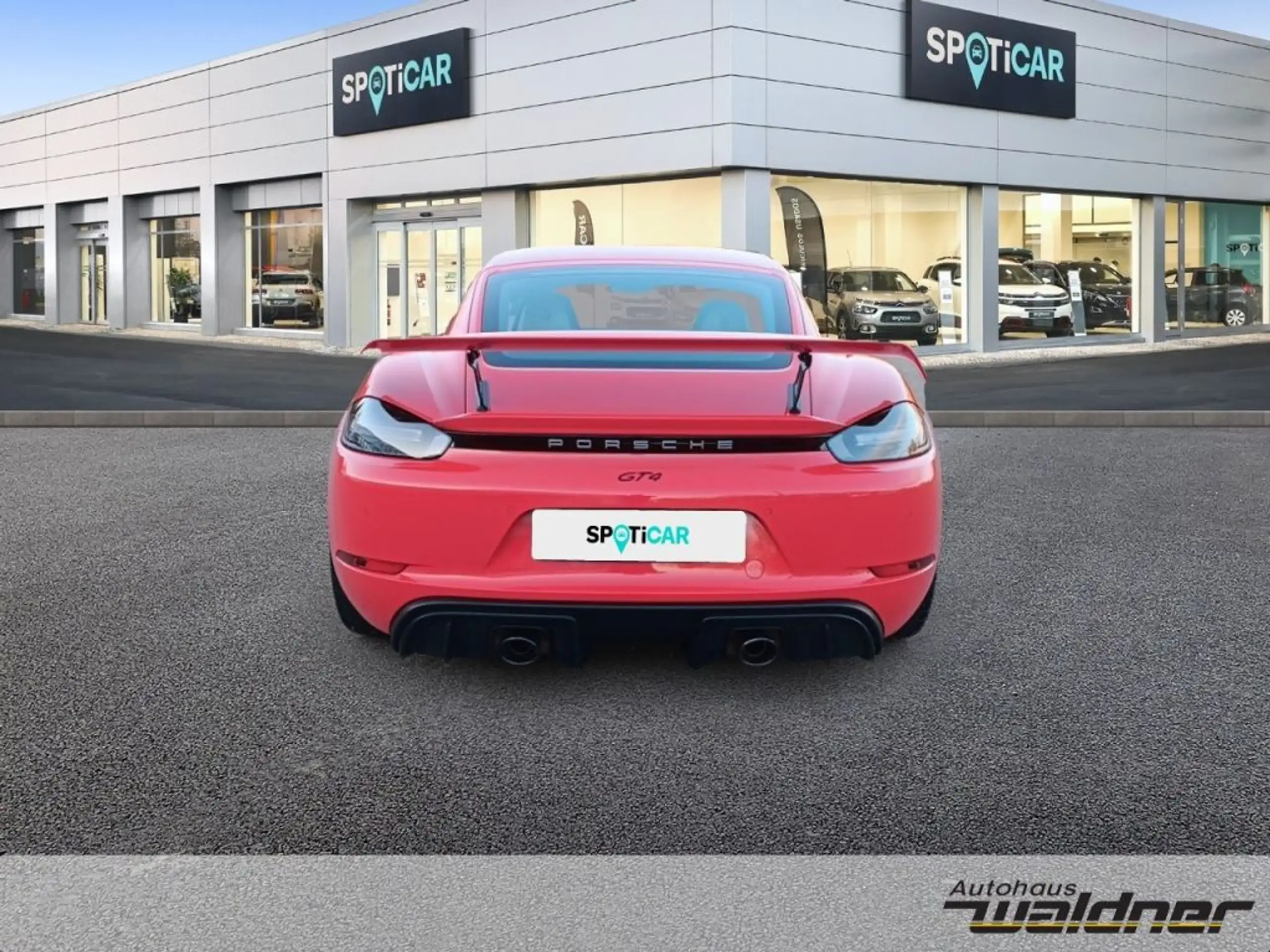 Porsche - Cayman