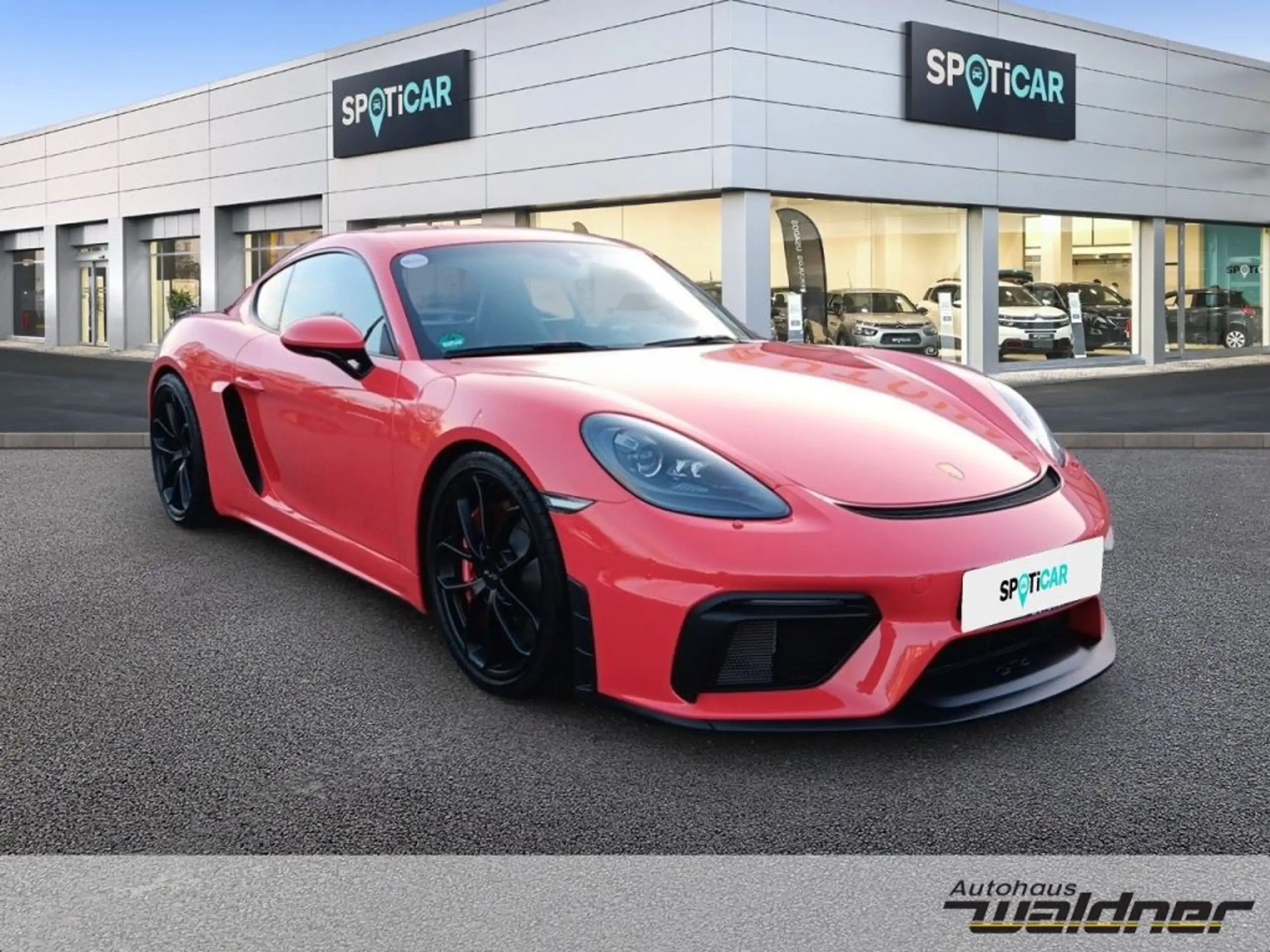 Porsche - Cayman