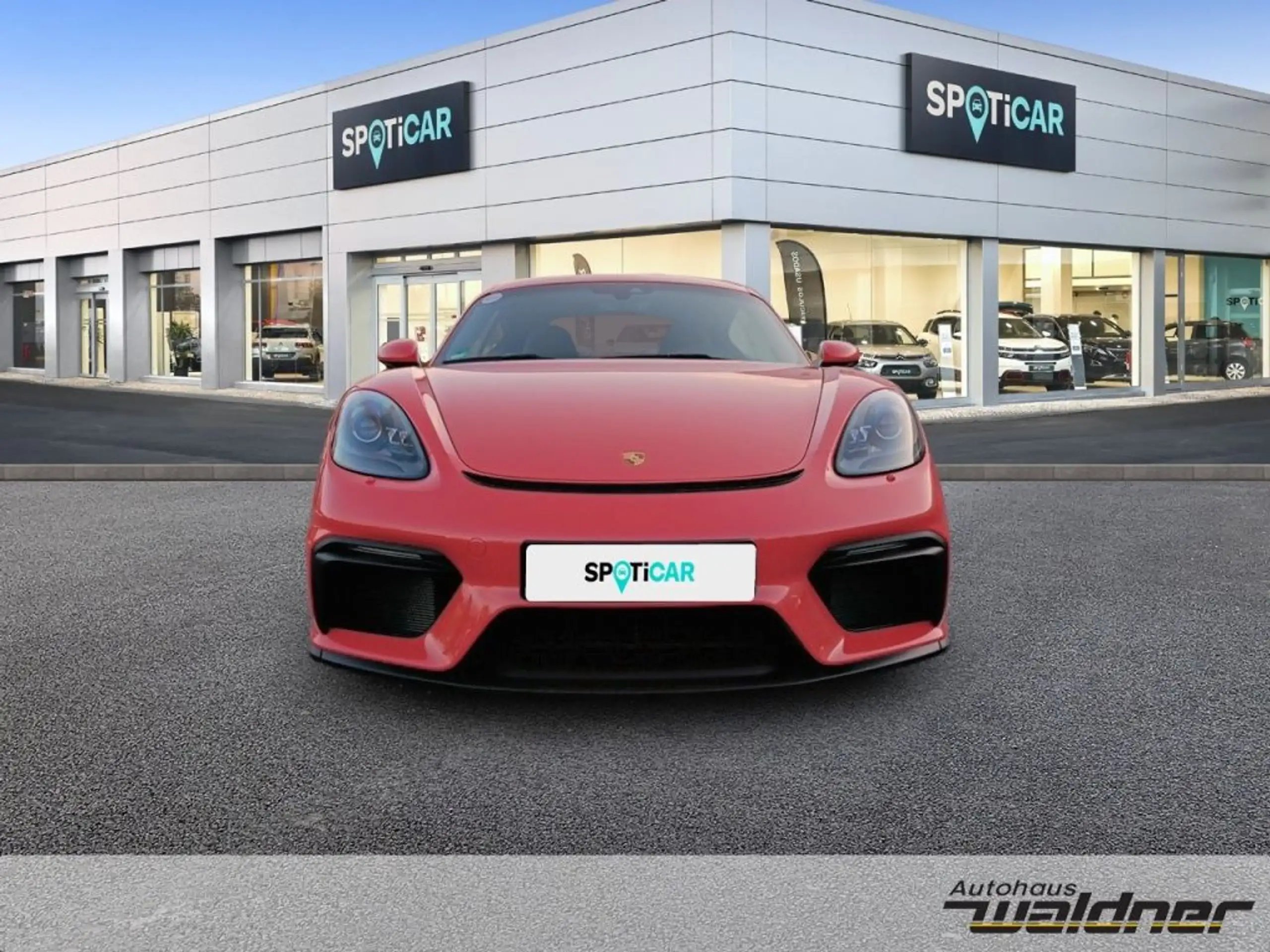 Porsche - Cayman