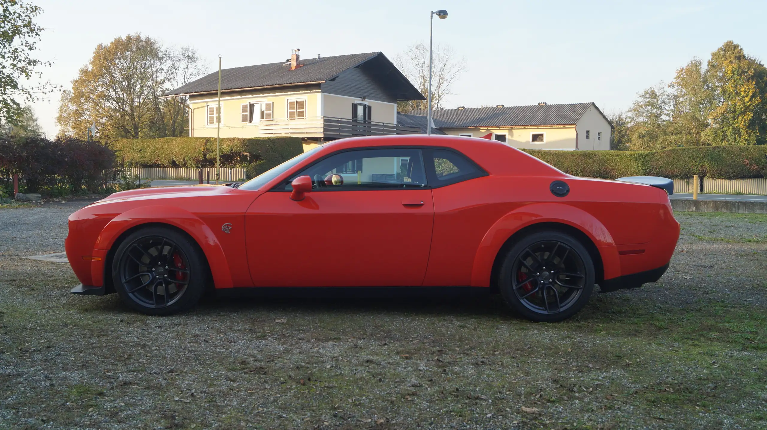 Dodge - Challenger