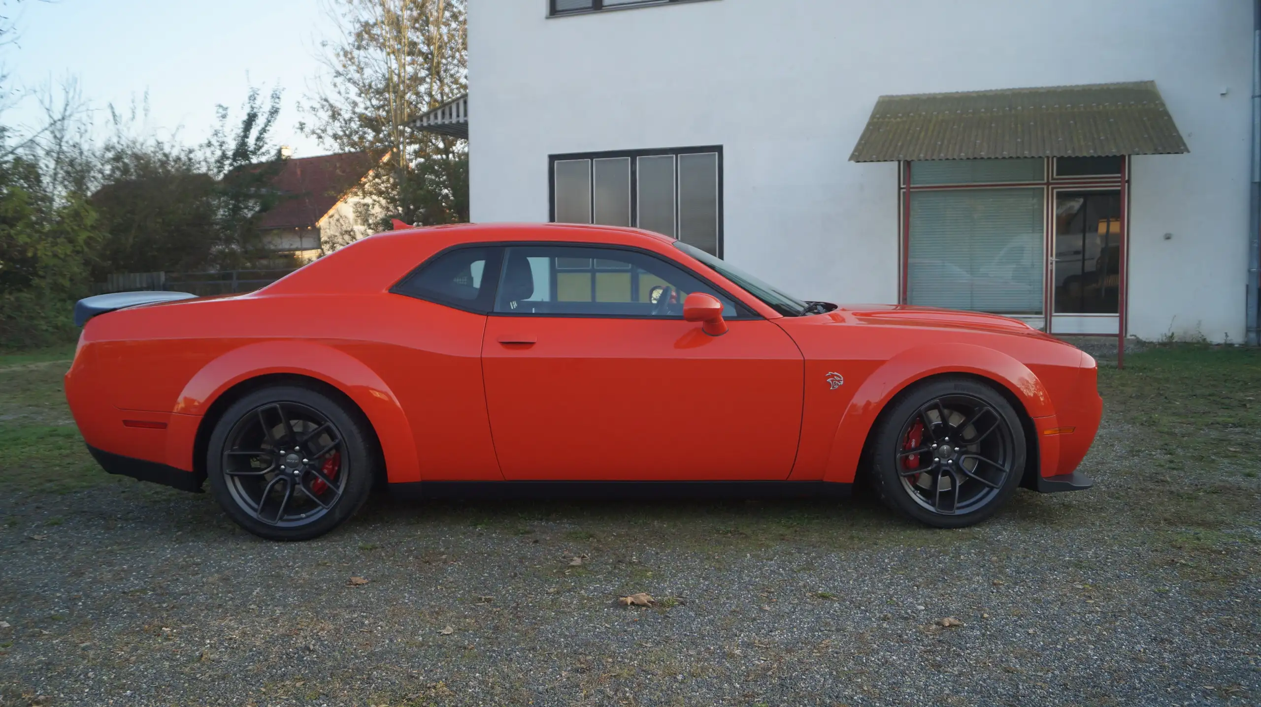 Dodge - Challenger