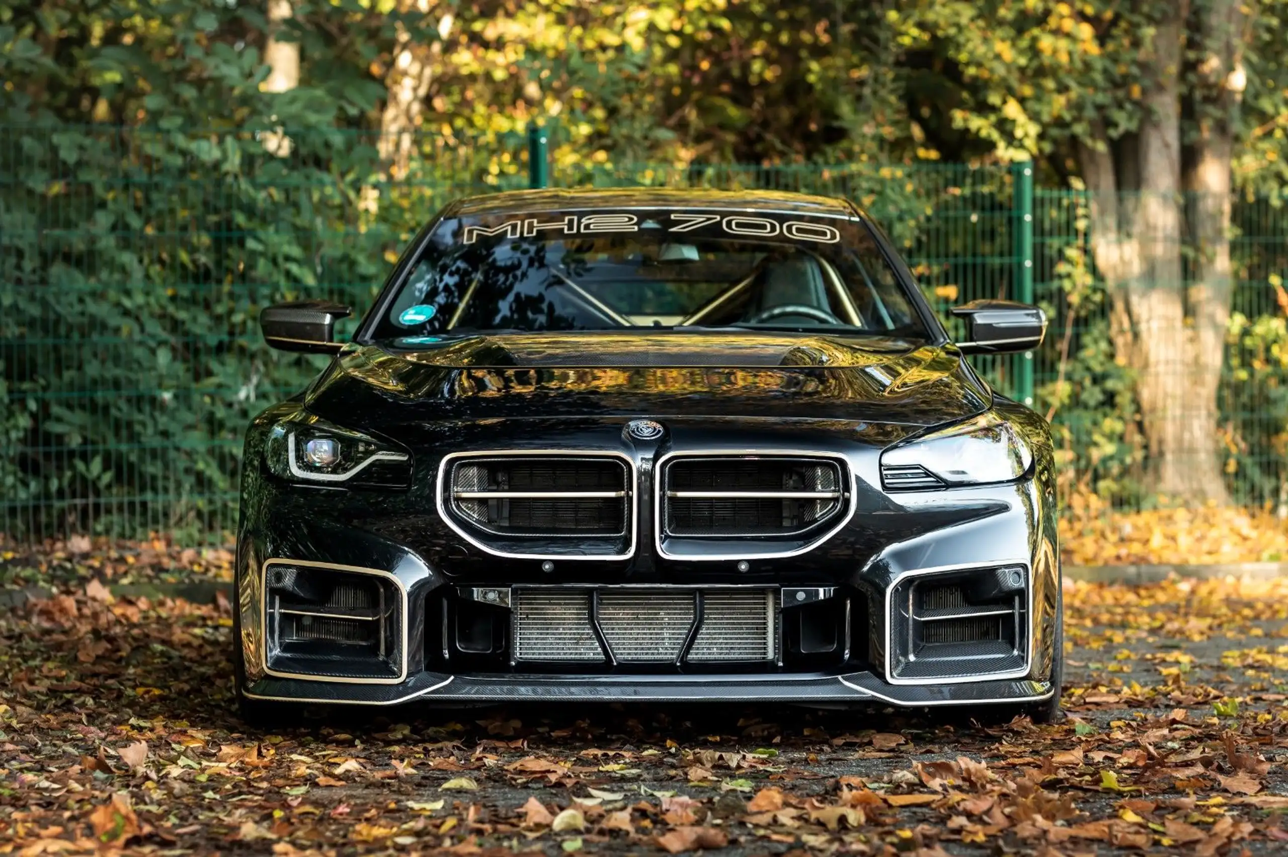 BMW - M2