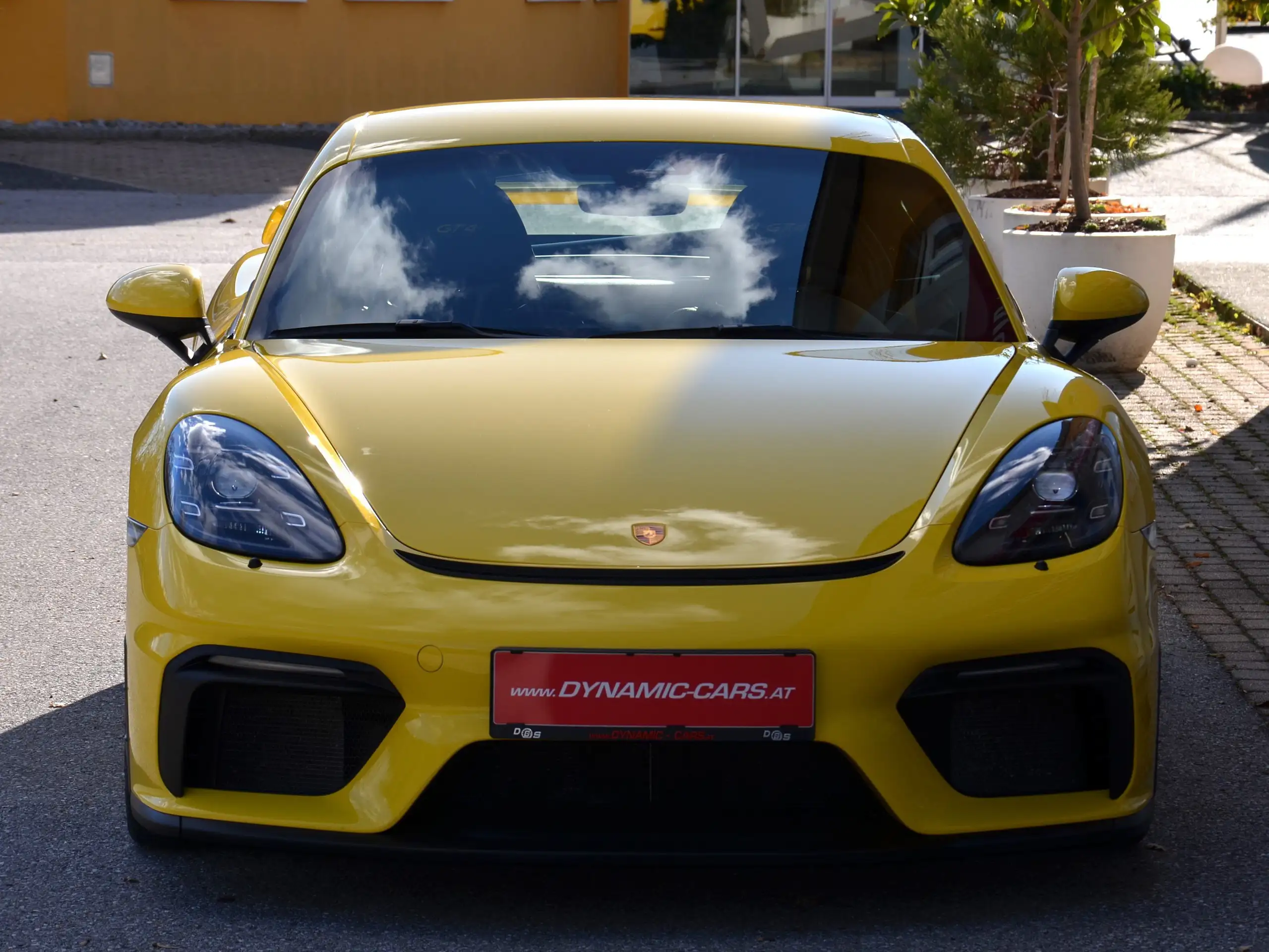 Porsche - Cayman