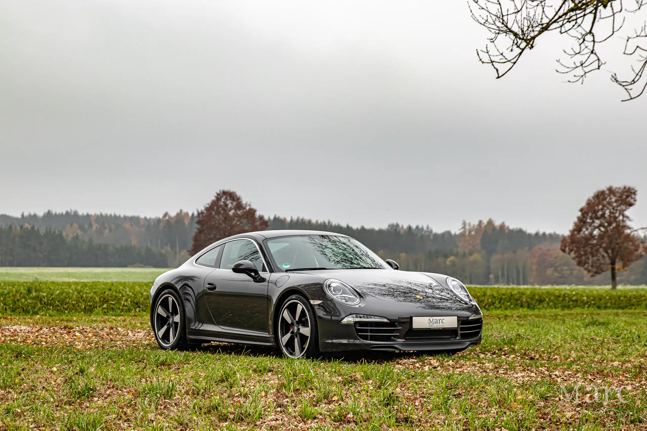 Porsche - 991