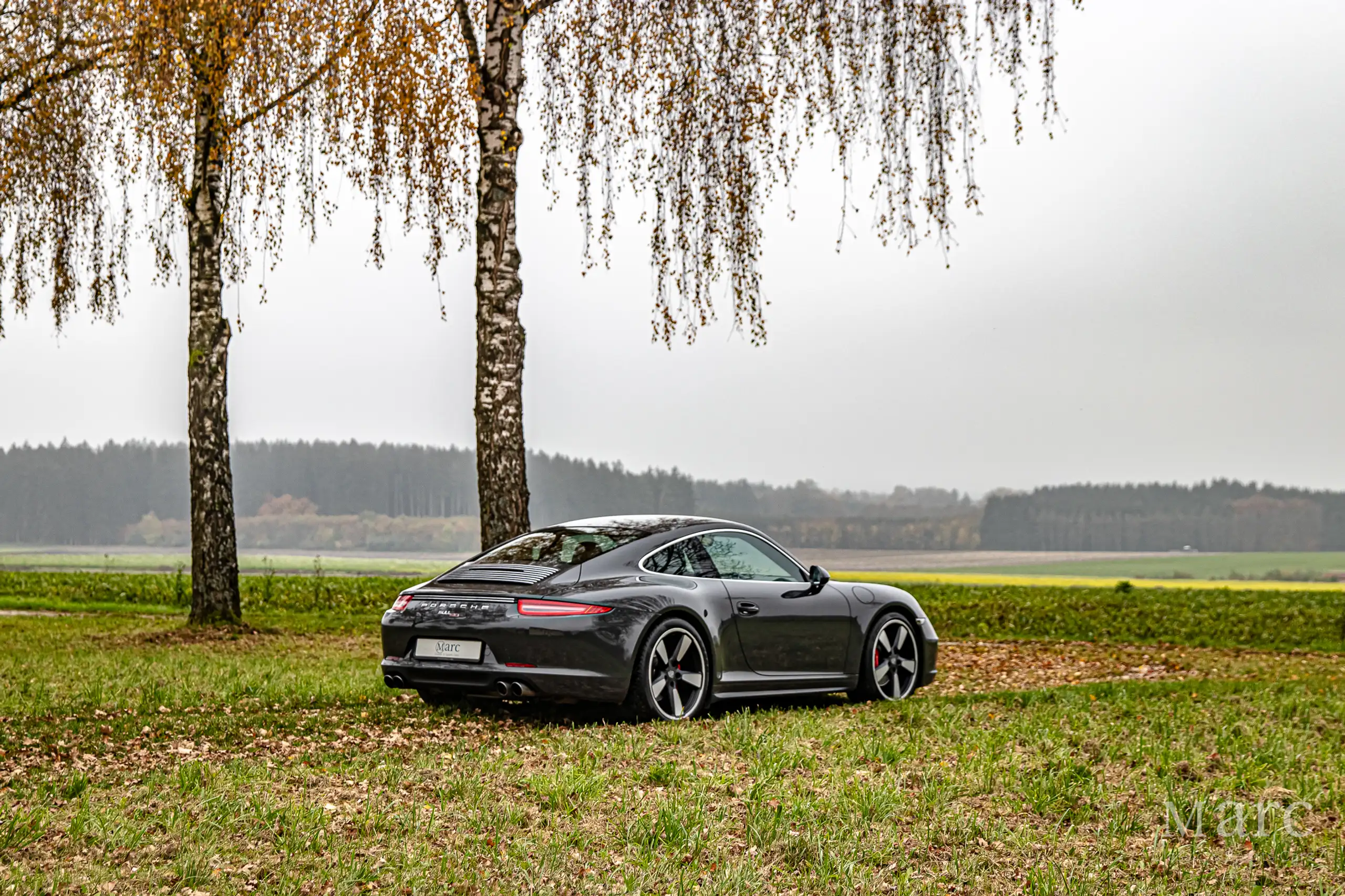 Porsche - 991