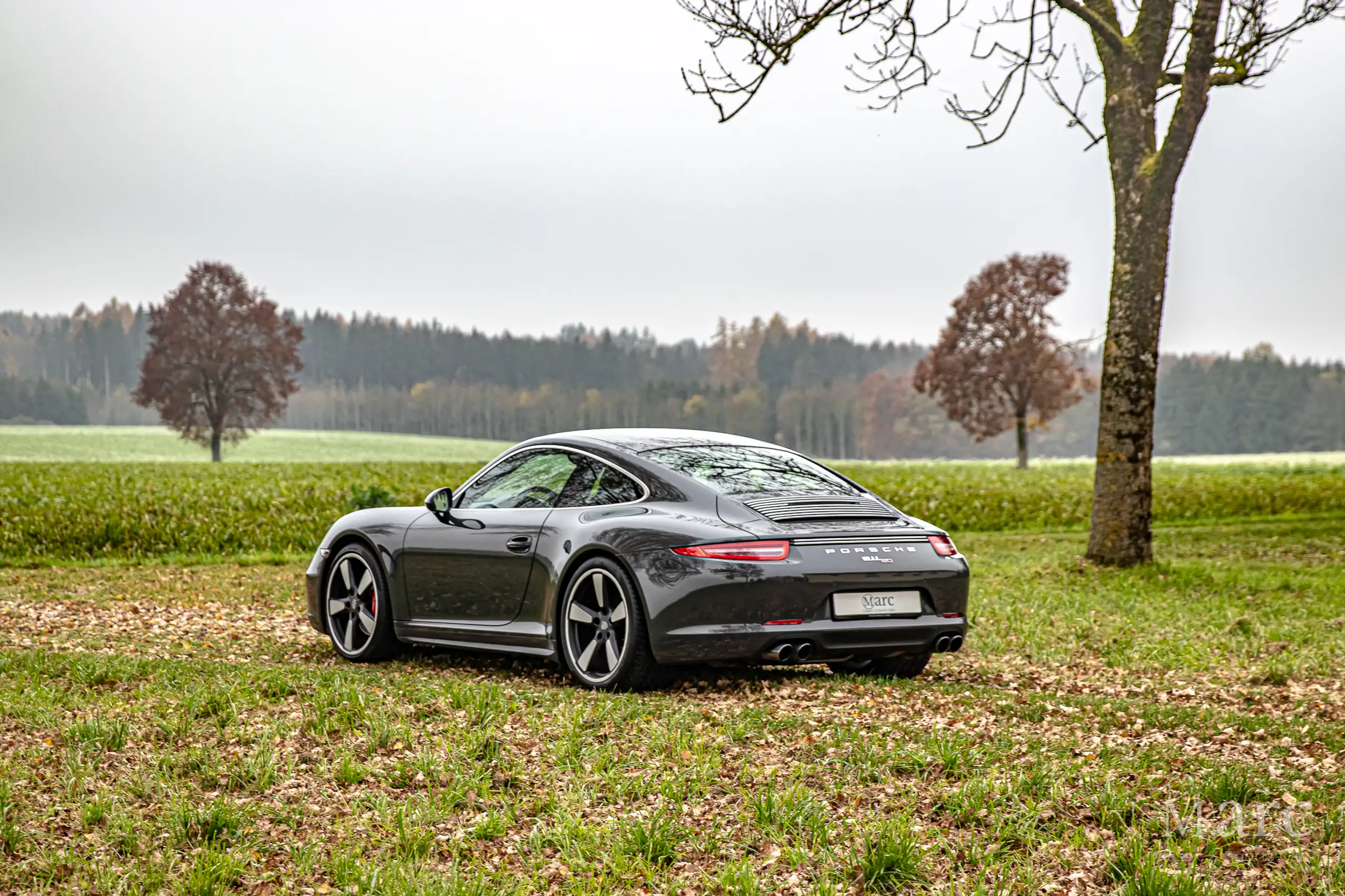 Porsche - 991