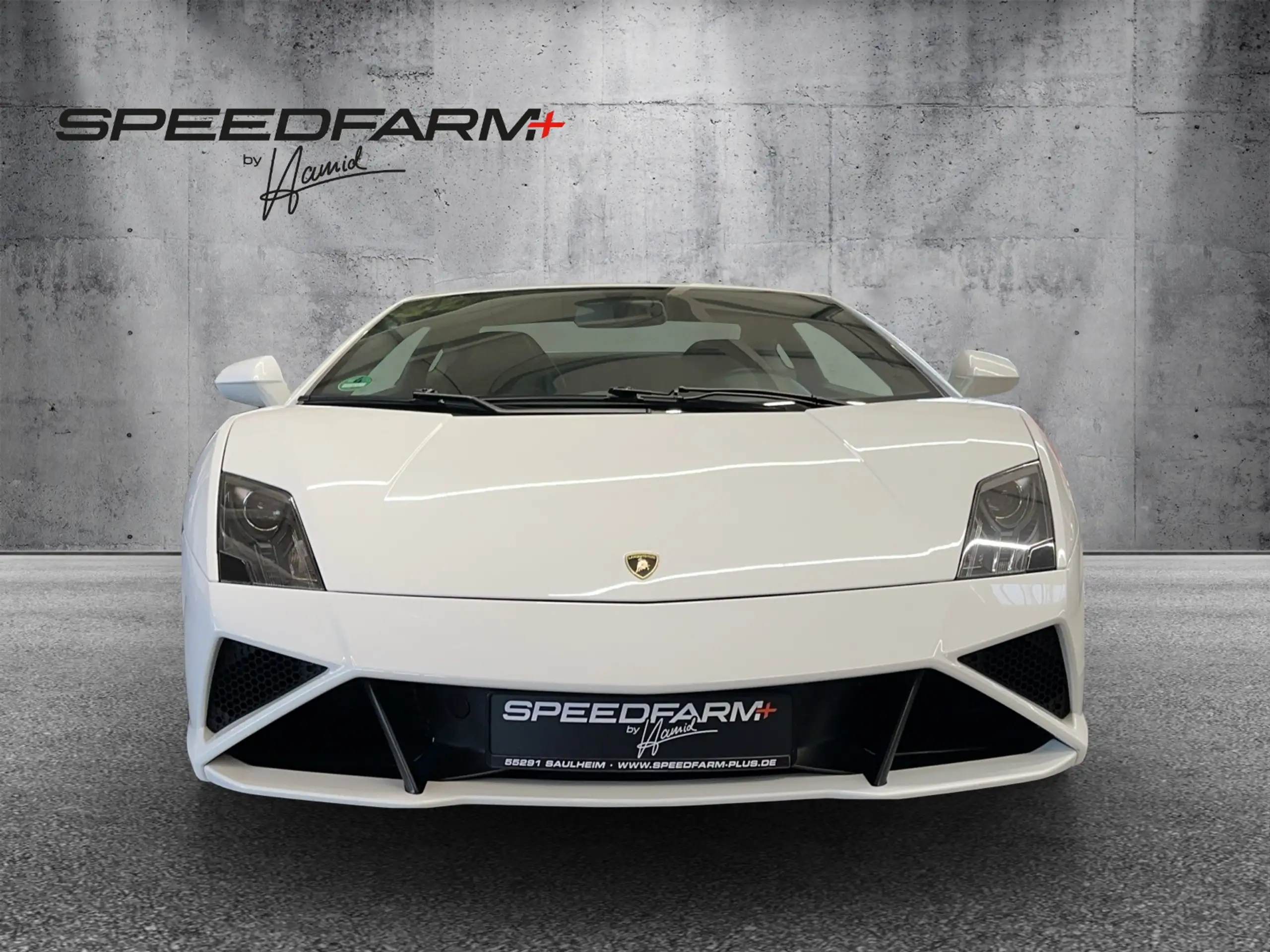 Lamborghini - Gallardo