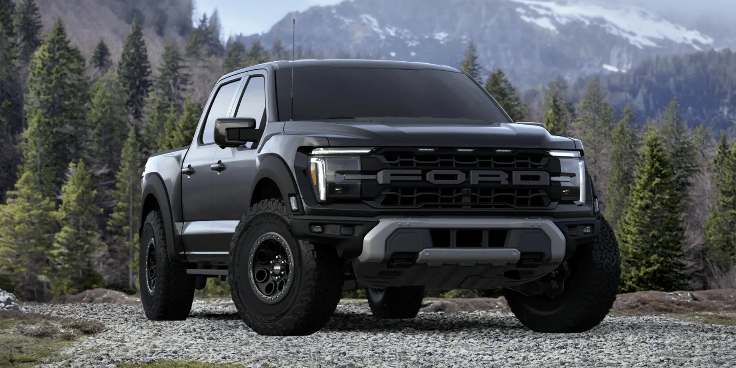 Ford - F 150