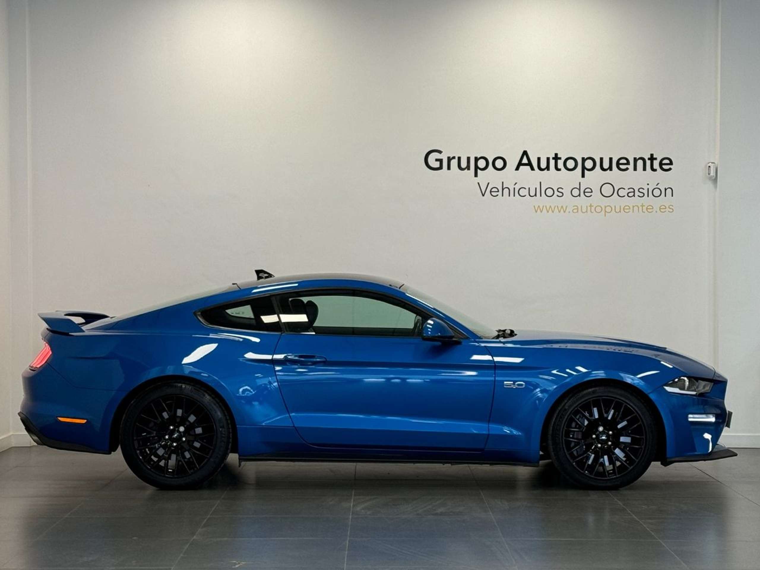 Ford - Mustang