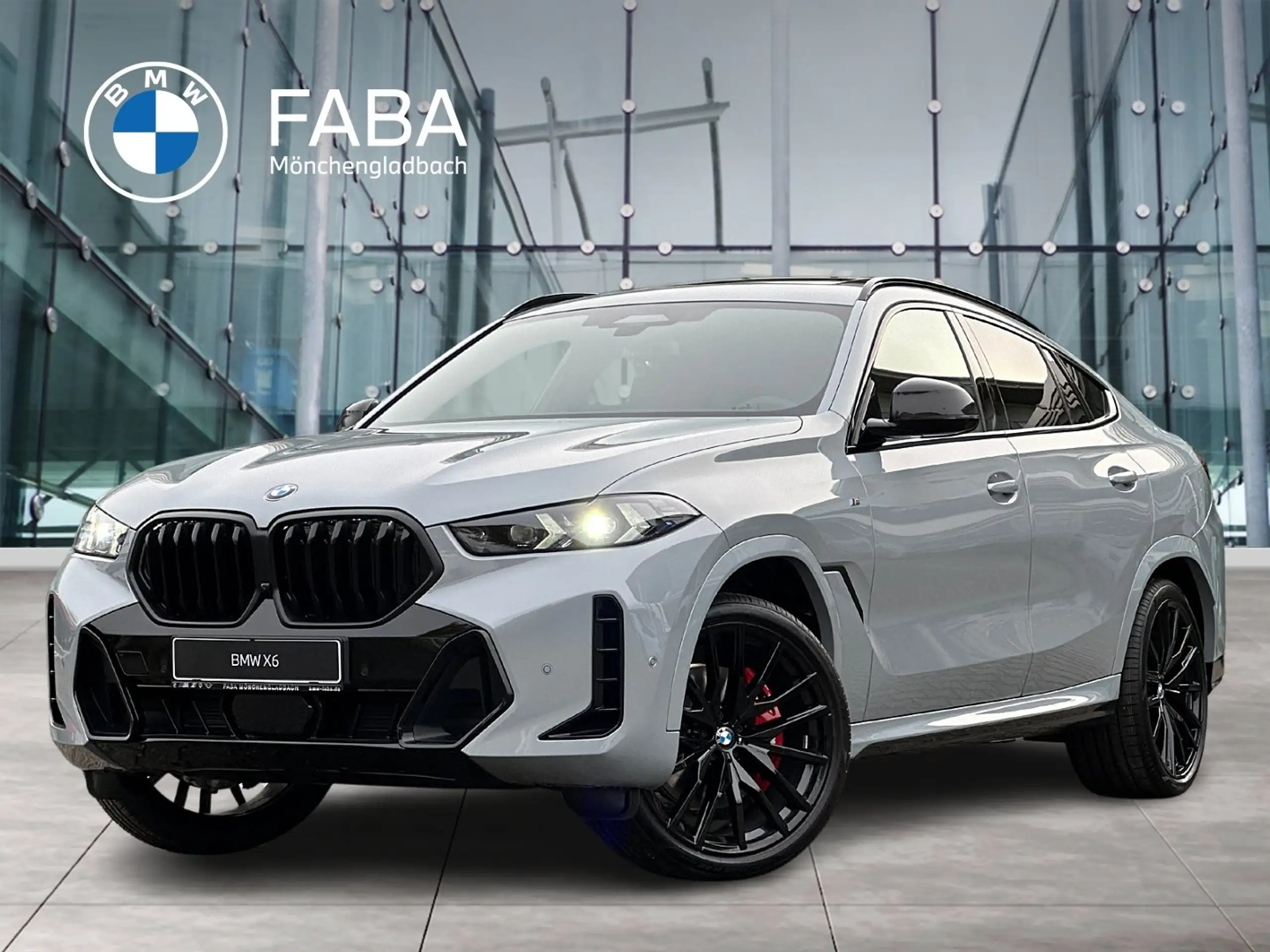 BMW - X6