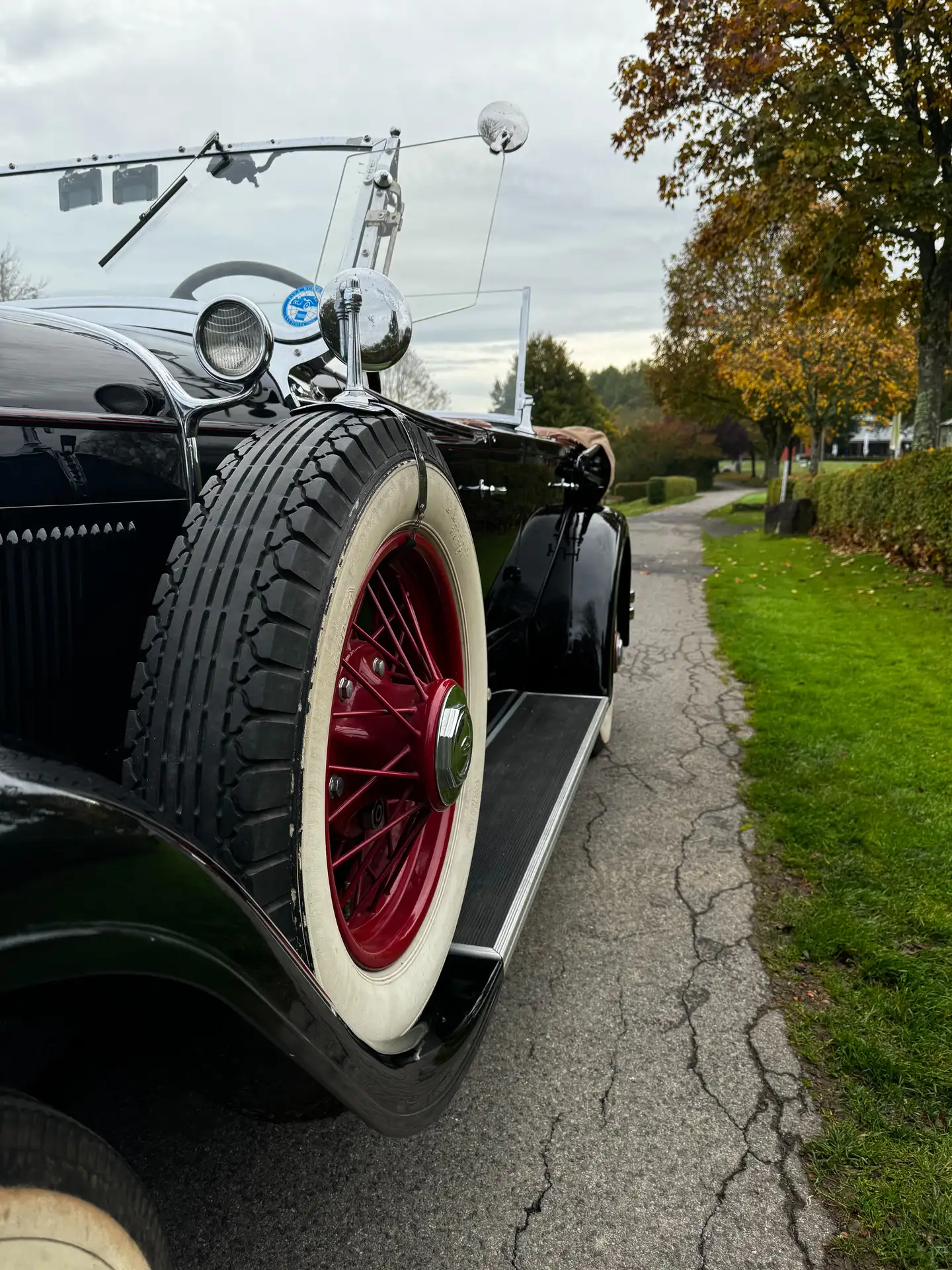 Austin-Healey - Others